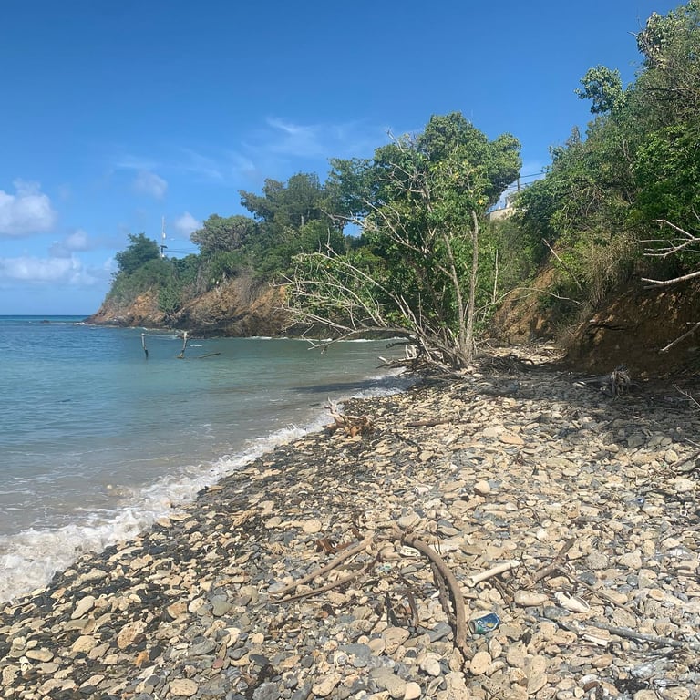 Sprat Hall Beach