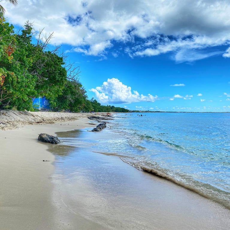 Photo of Sprat Hall Beach in St. Croix