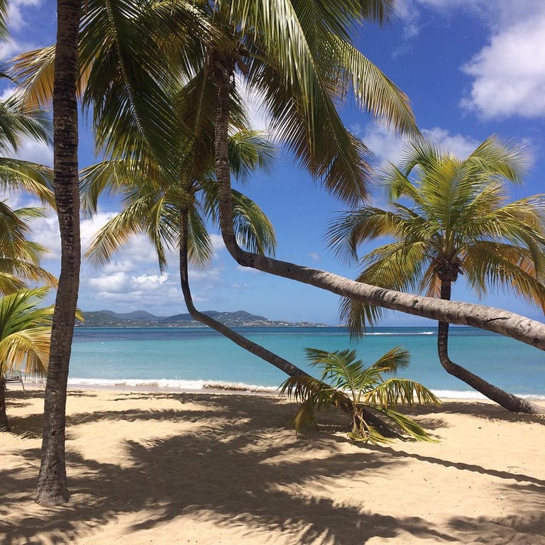 The Mermaid Beach (Buccaneer)