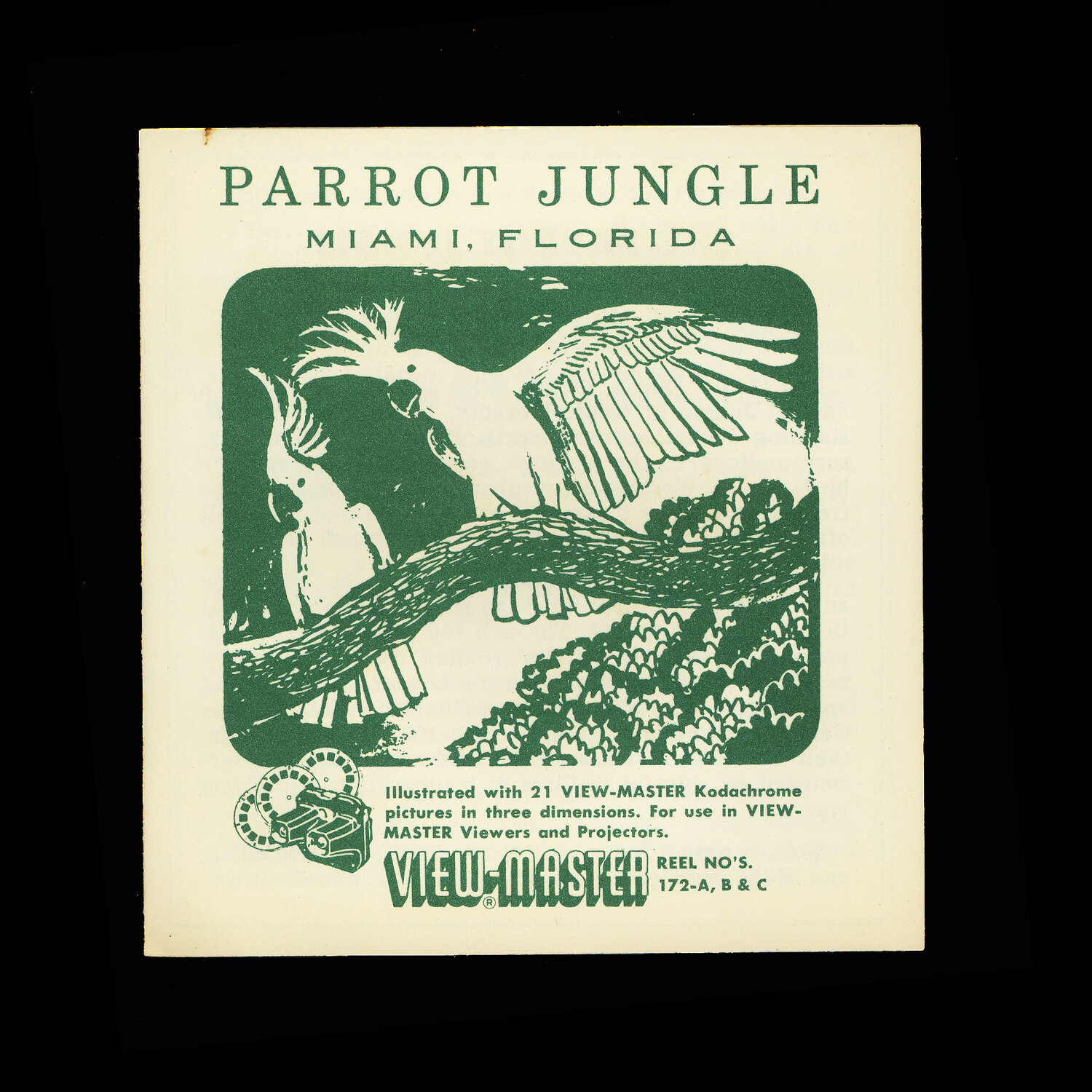 [Preorder]DCD Bird Jungle - Pre order Closed image 3