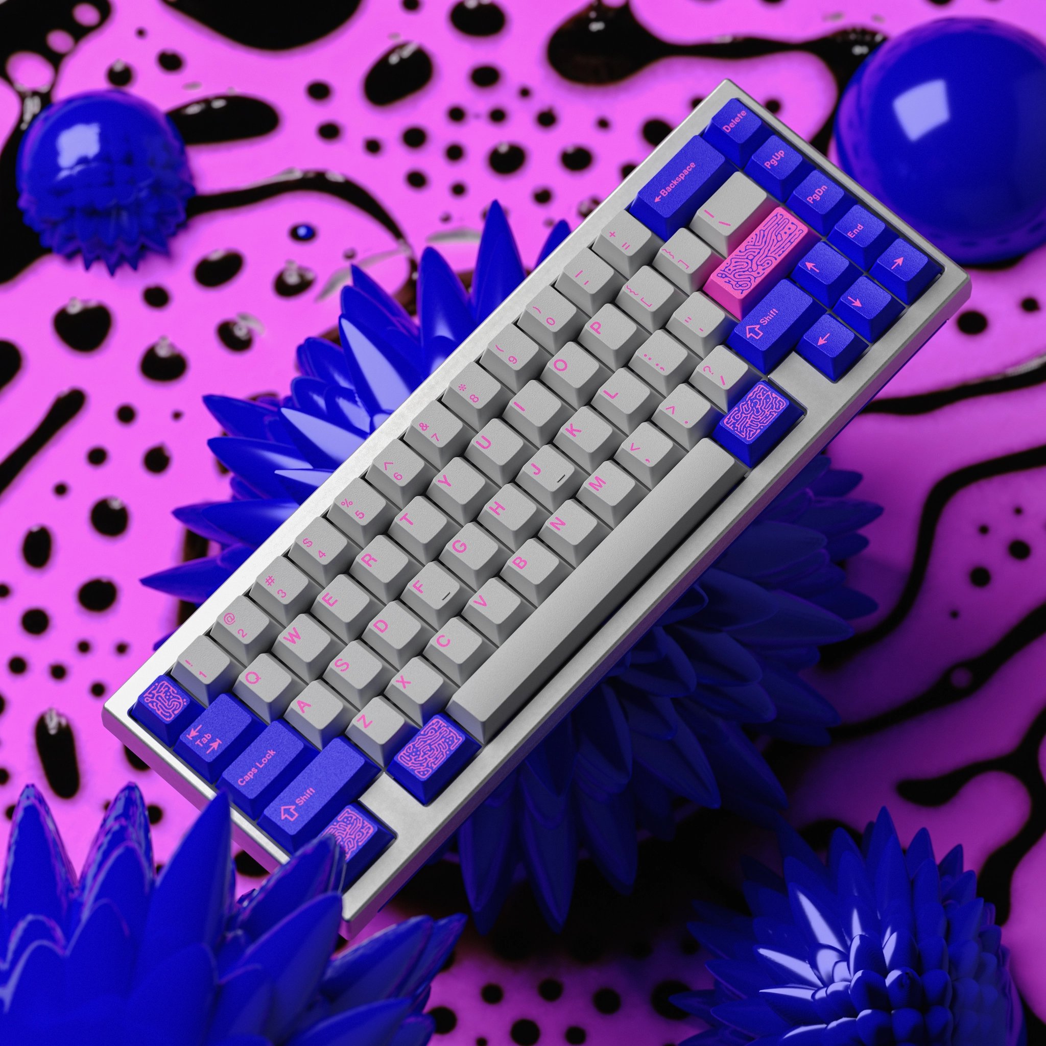 Project image