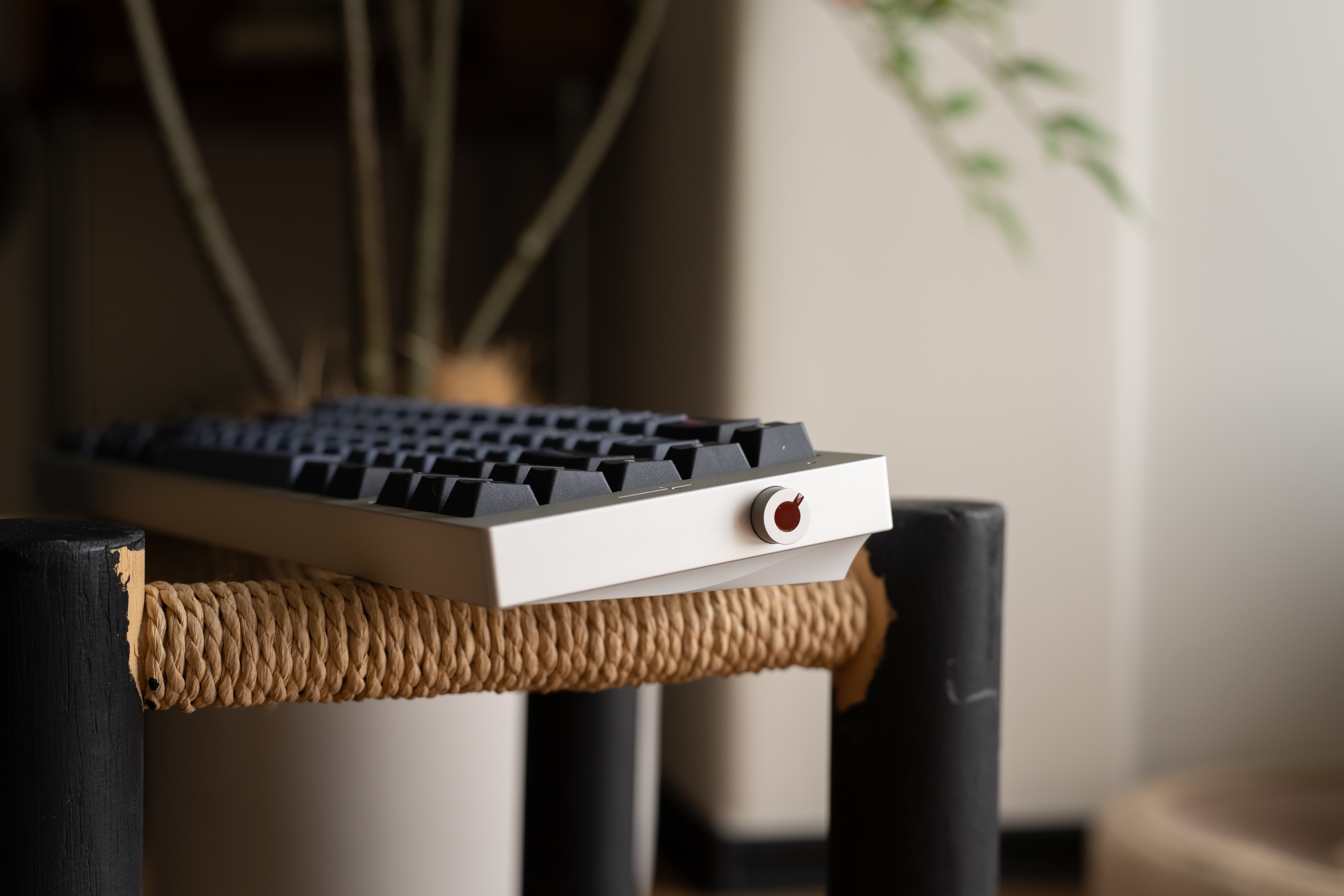 Sonic170 V2 | 10% Macro + 65% image 30