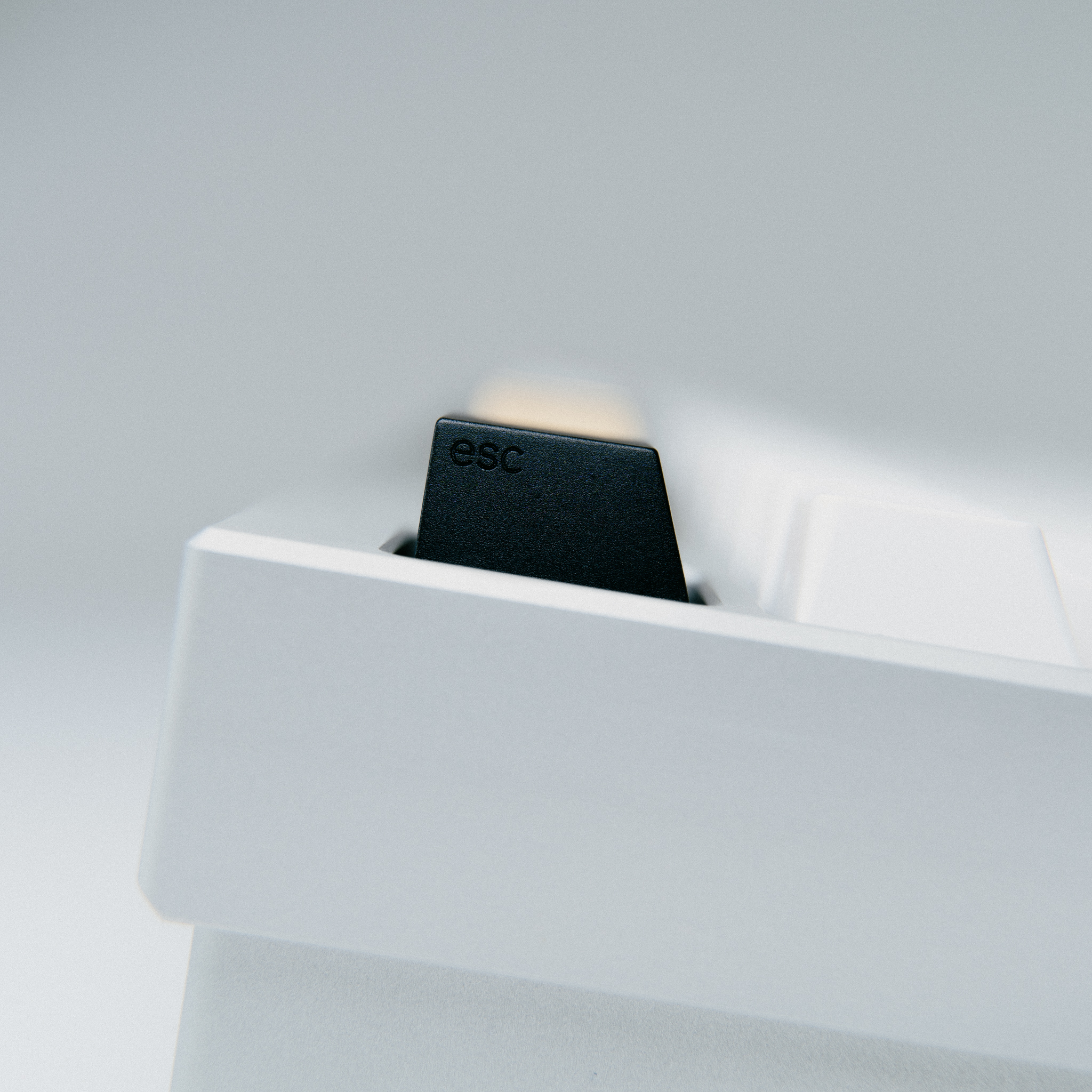 Series 00 | 09/17/2021: Shipping to all 4 vendors! image 15