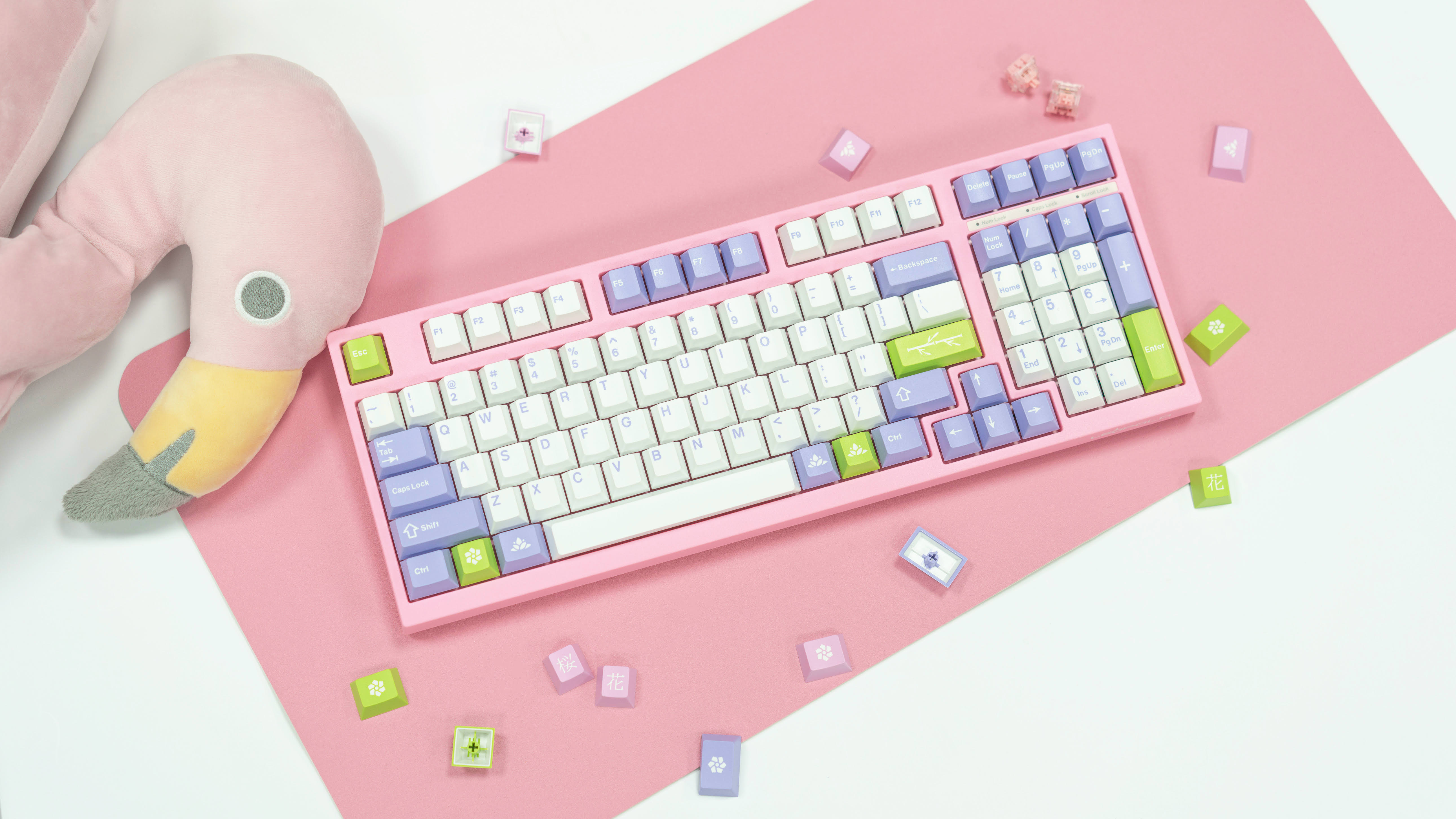 JTK Hana (all orders shipped)