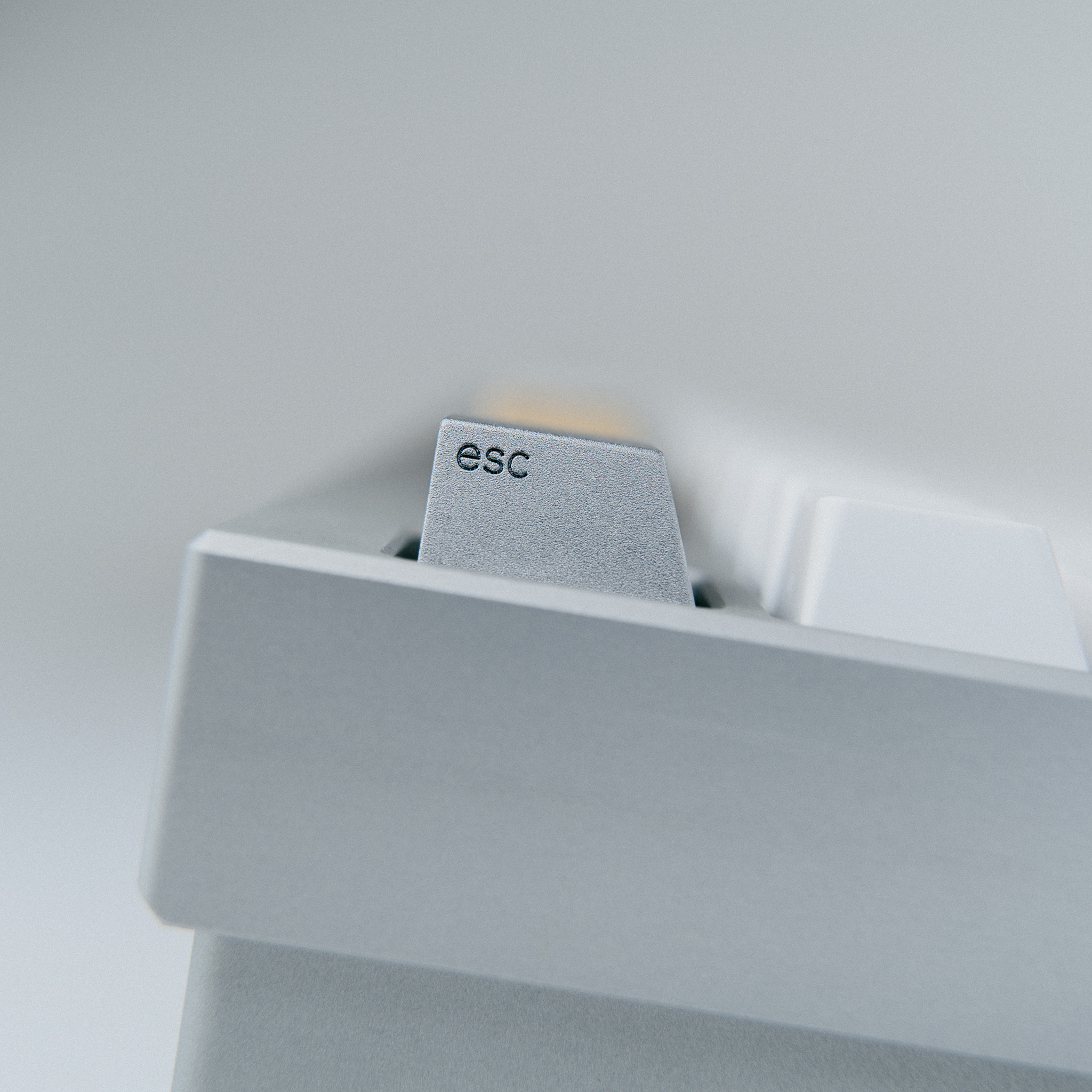 Series 00 | 09/17/2021: Shipping to all 4 vendors! image 13
