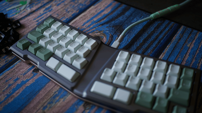 DCS Green Bean
