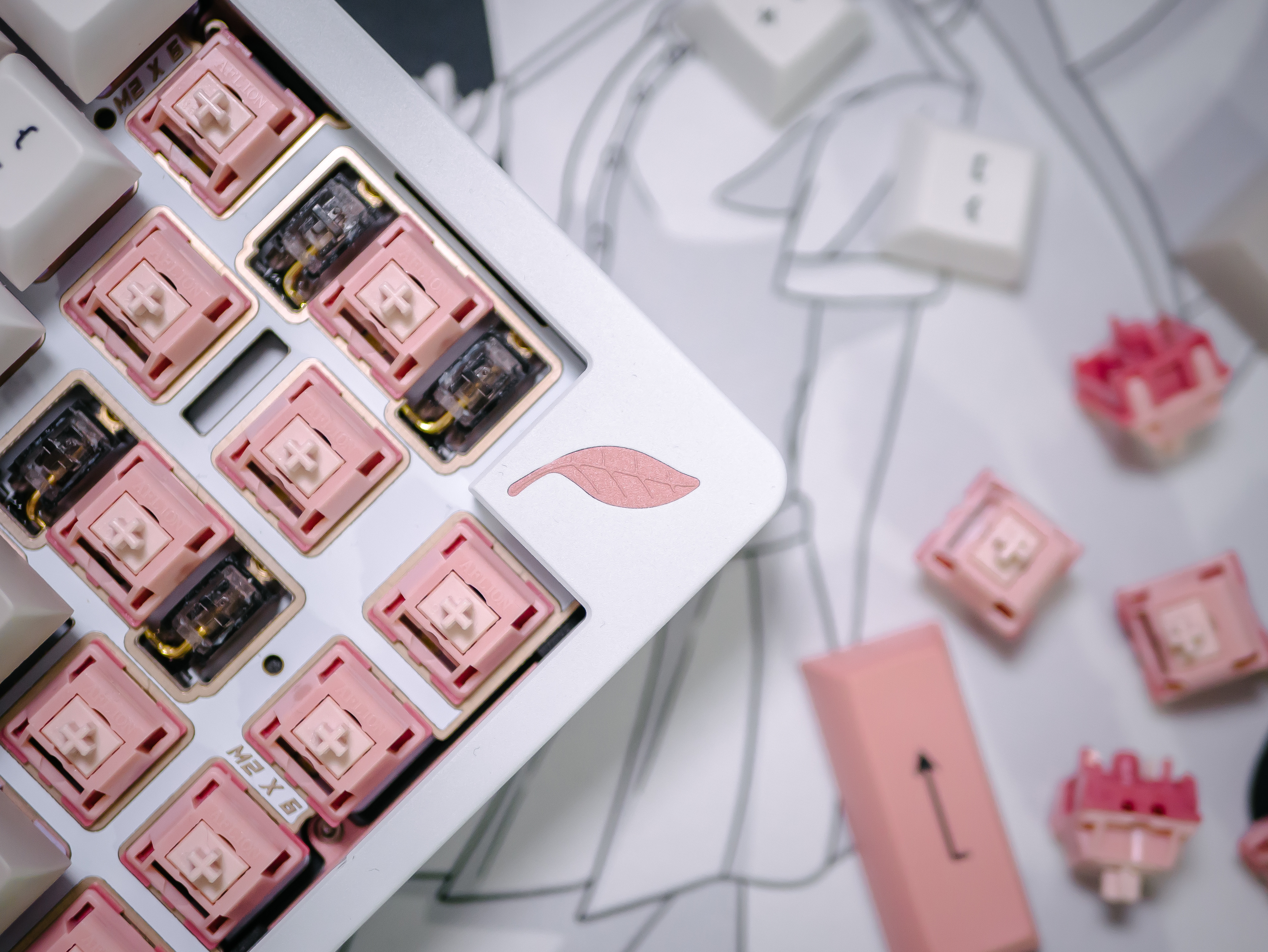 Blush Linear Switch | Shipping to vendors image 2