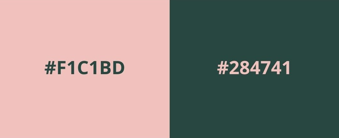 [Pre-order] ePBT Flower | Last Week image 18