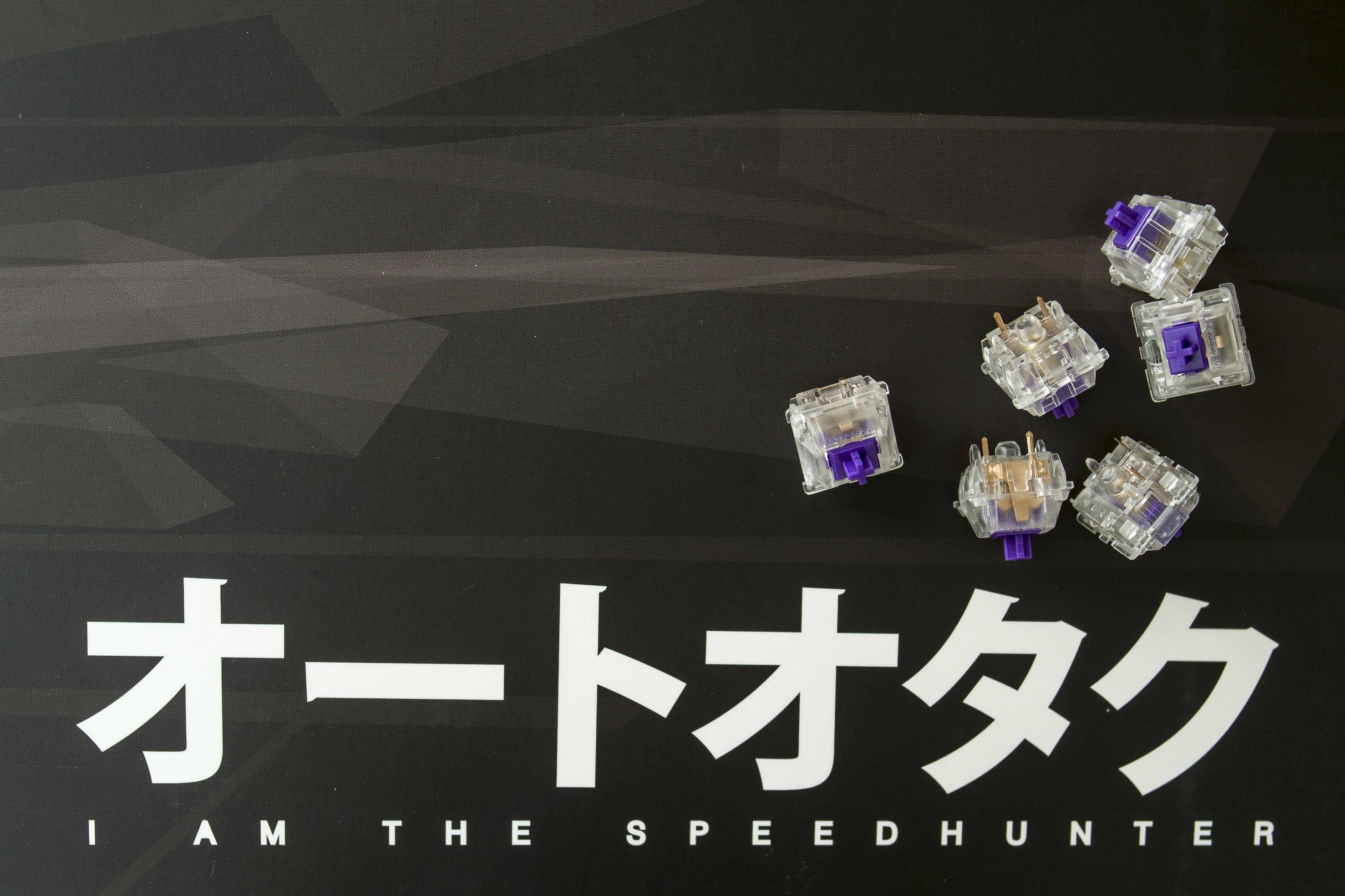 PURPLE/CLEAR ZEALIO SWITCHES (Complete)