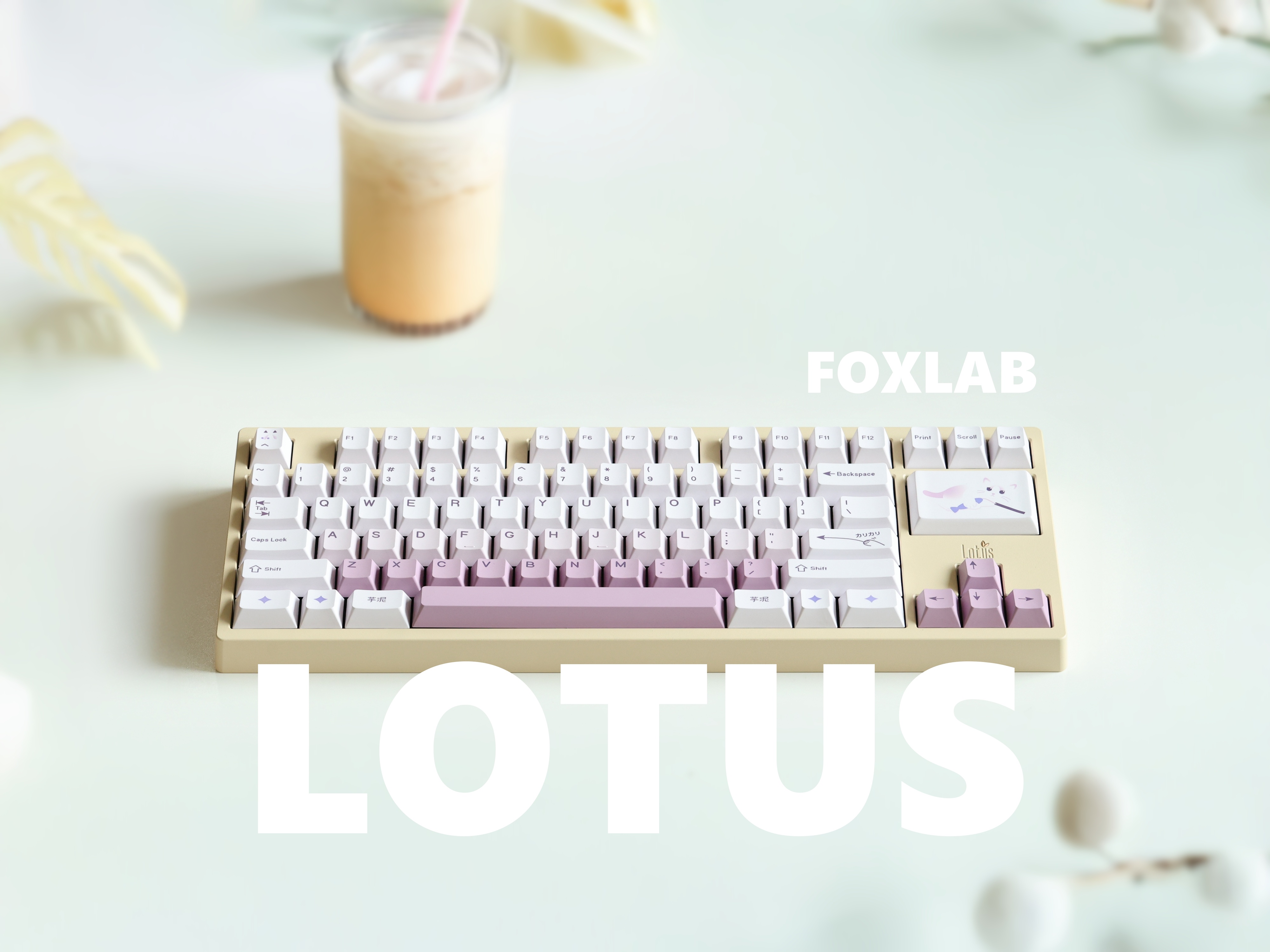 Fox Lab Lotus80 | GB live August 2nd - August 17th