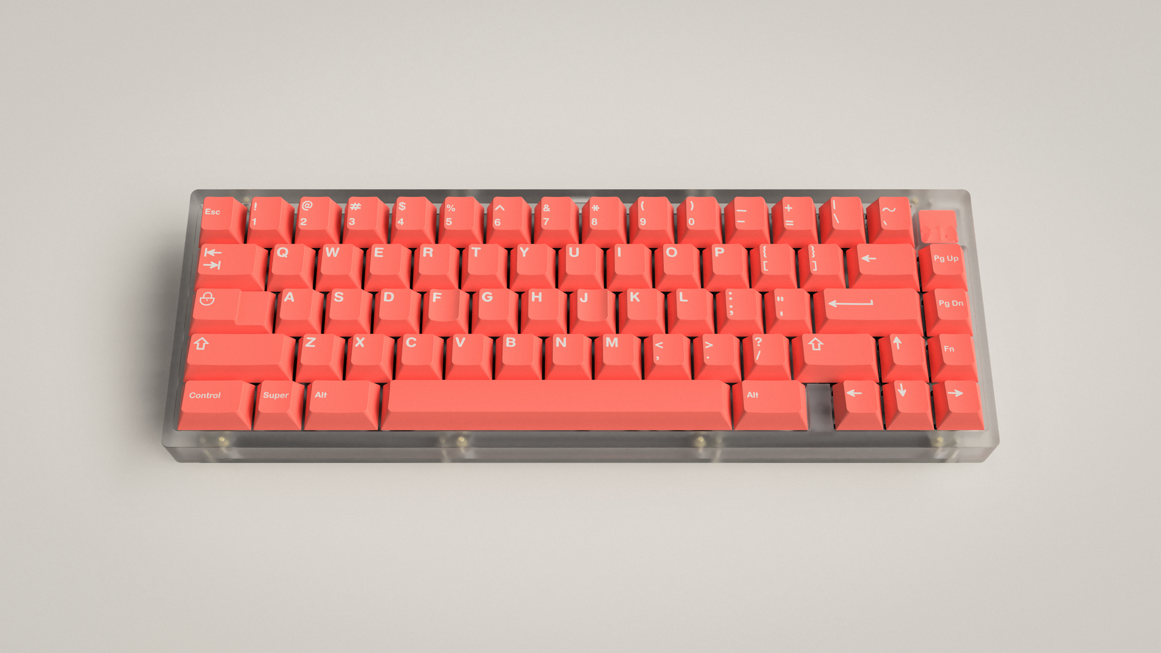 GMK Coral - $650 Donated to Coral Reef Alliance (Finished) image 26