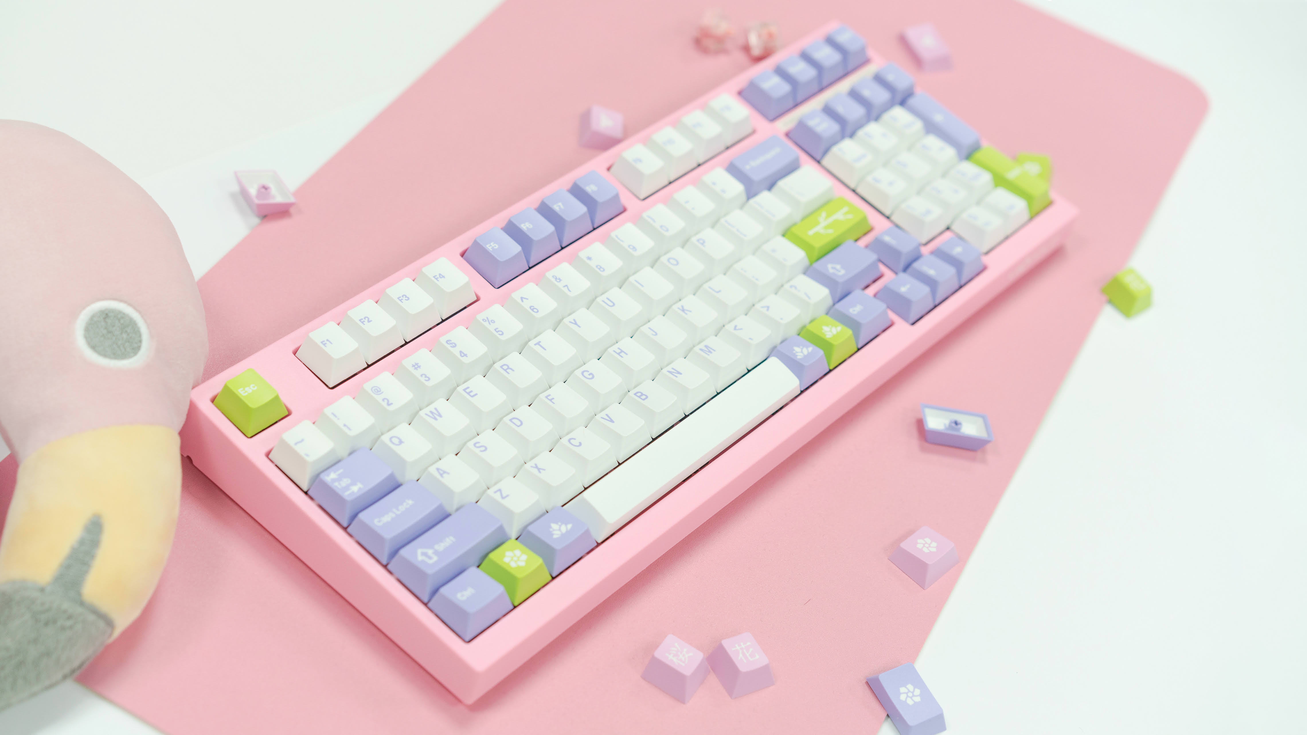 JTK Hana (all orders shipped) image 2