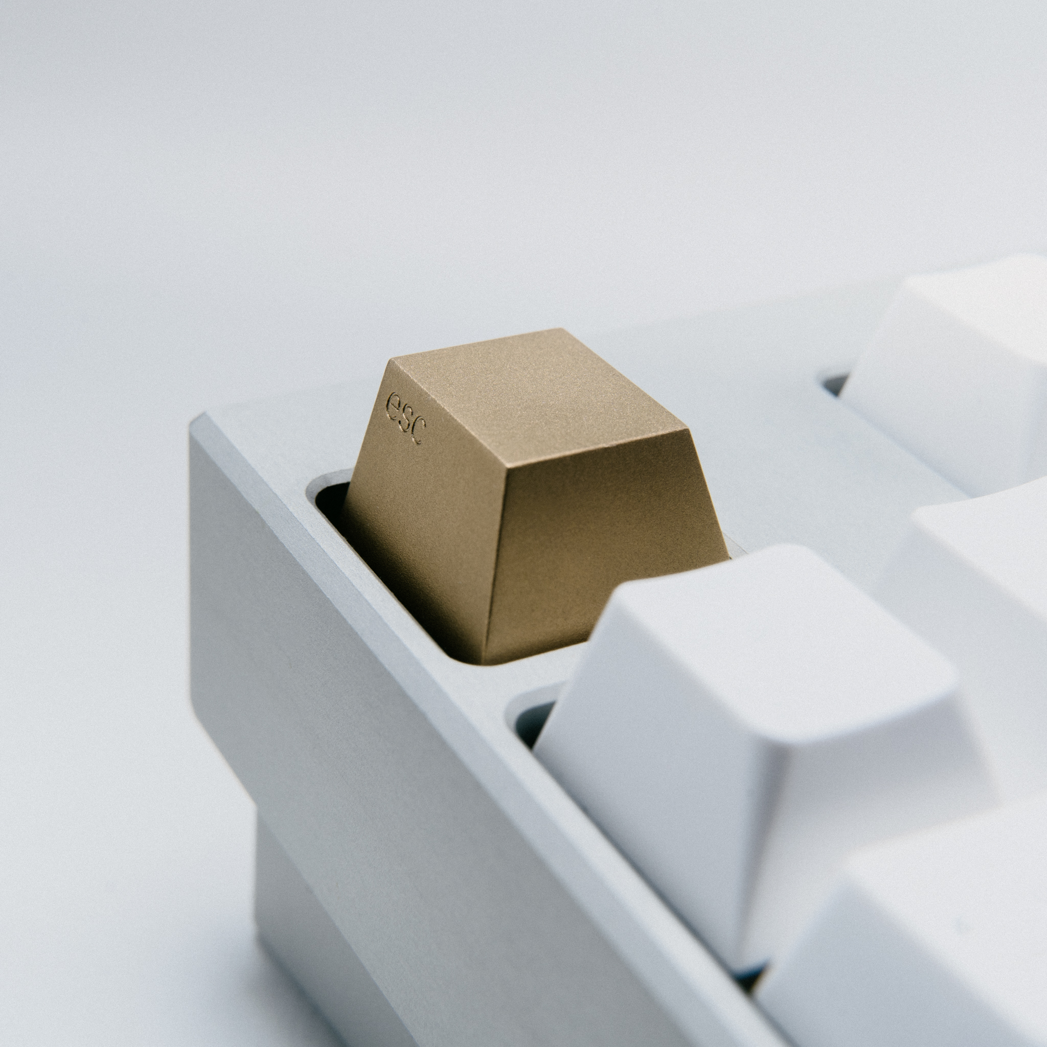 Series 00 | 09/17/2021: Shipping to all 4 vendors! image 10