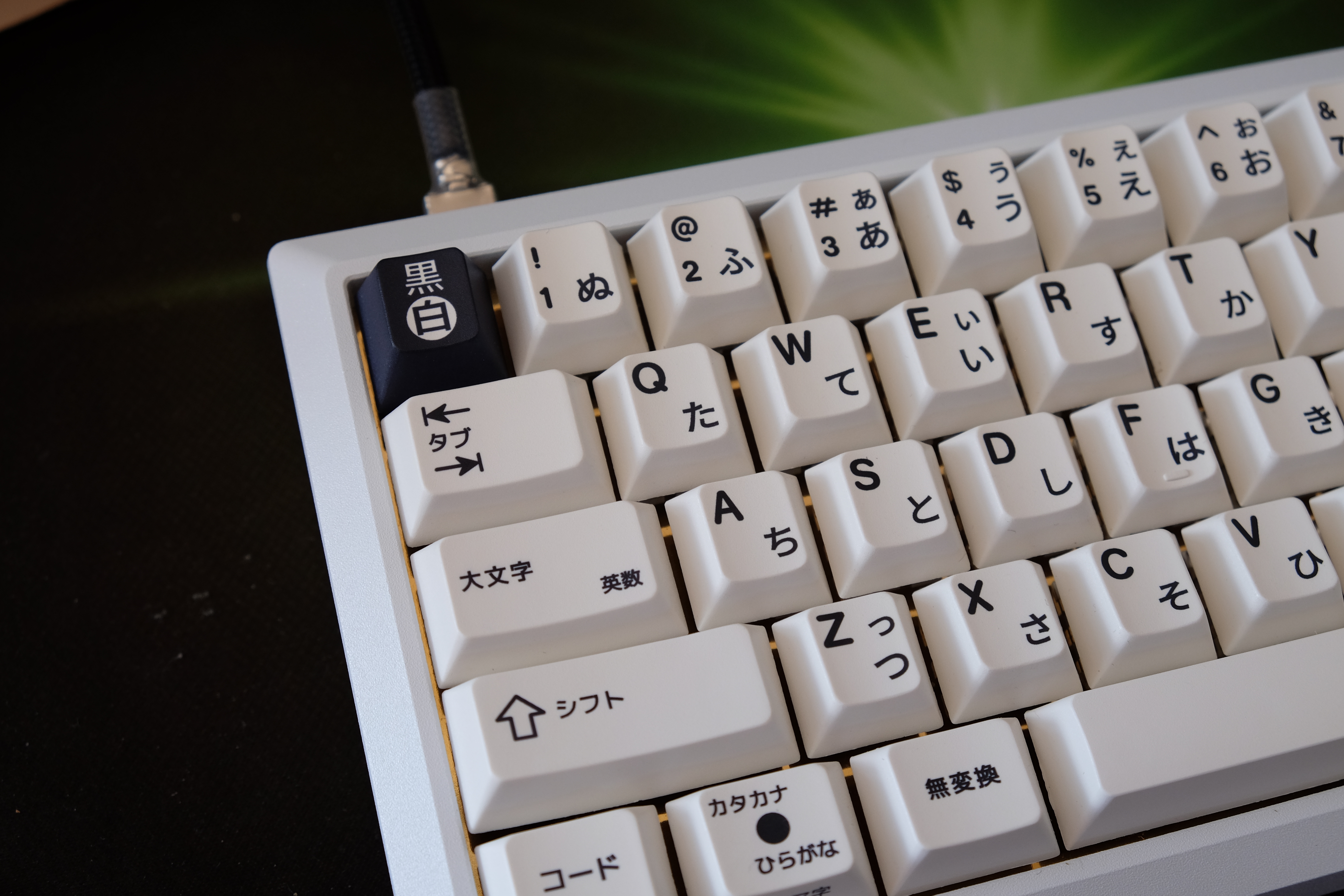 Enjoypbt Kuro/Shiro via KBDfans (GB Closed) image 8