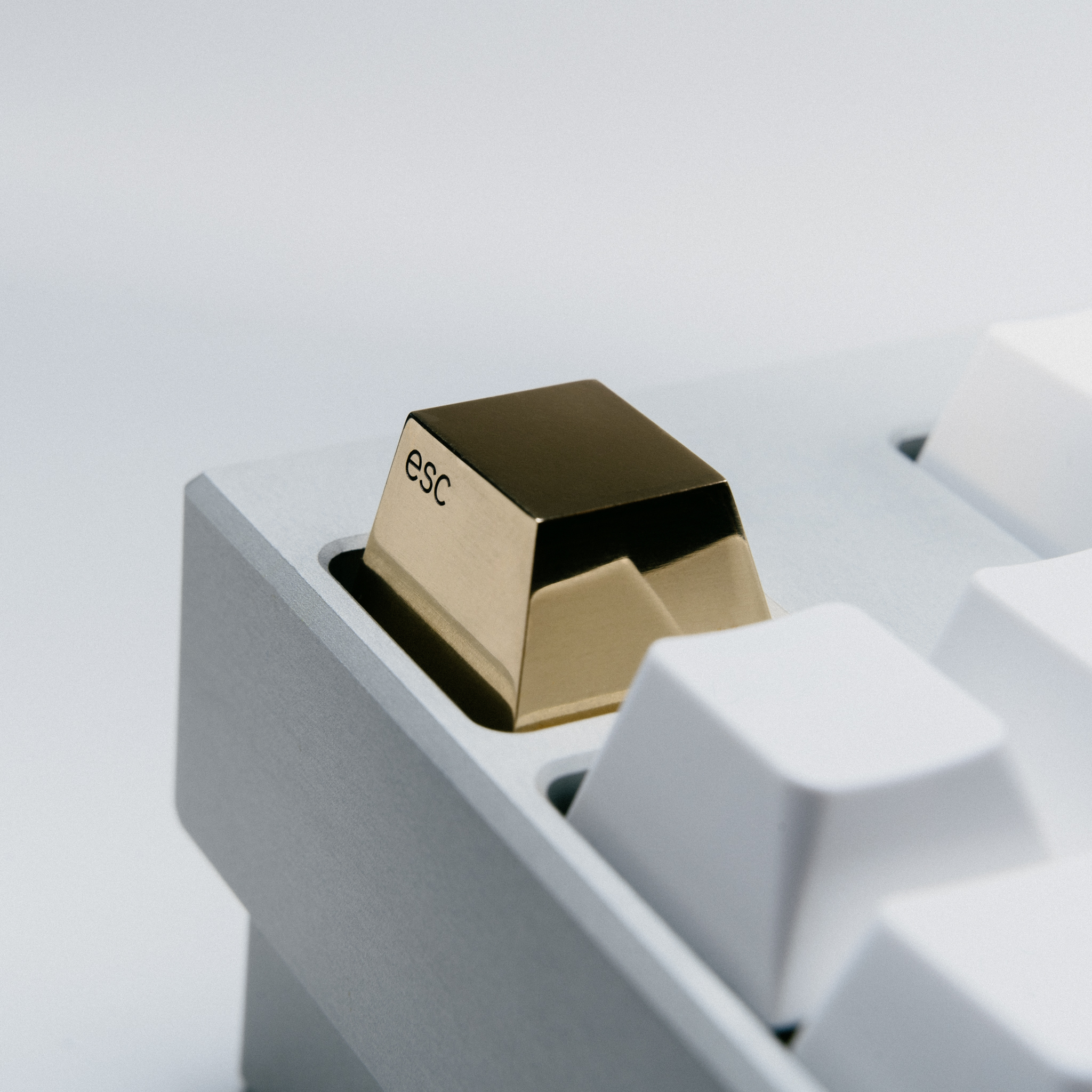 Series 00 | 09/17/2021: Shipping to all 4 vendors! image 6