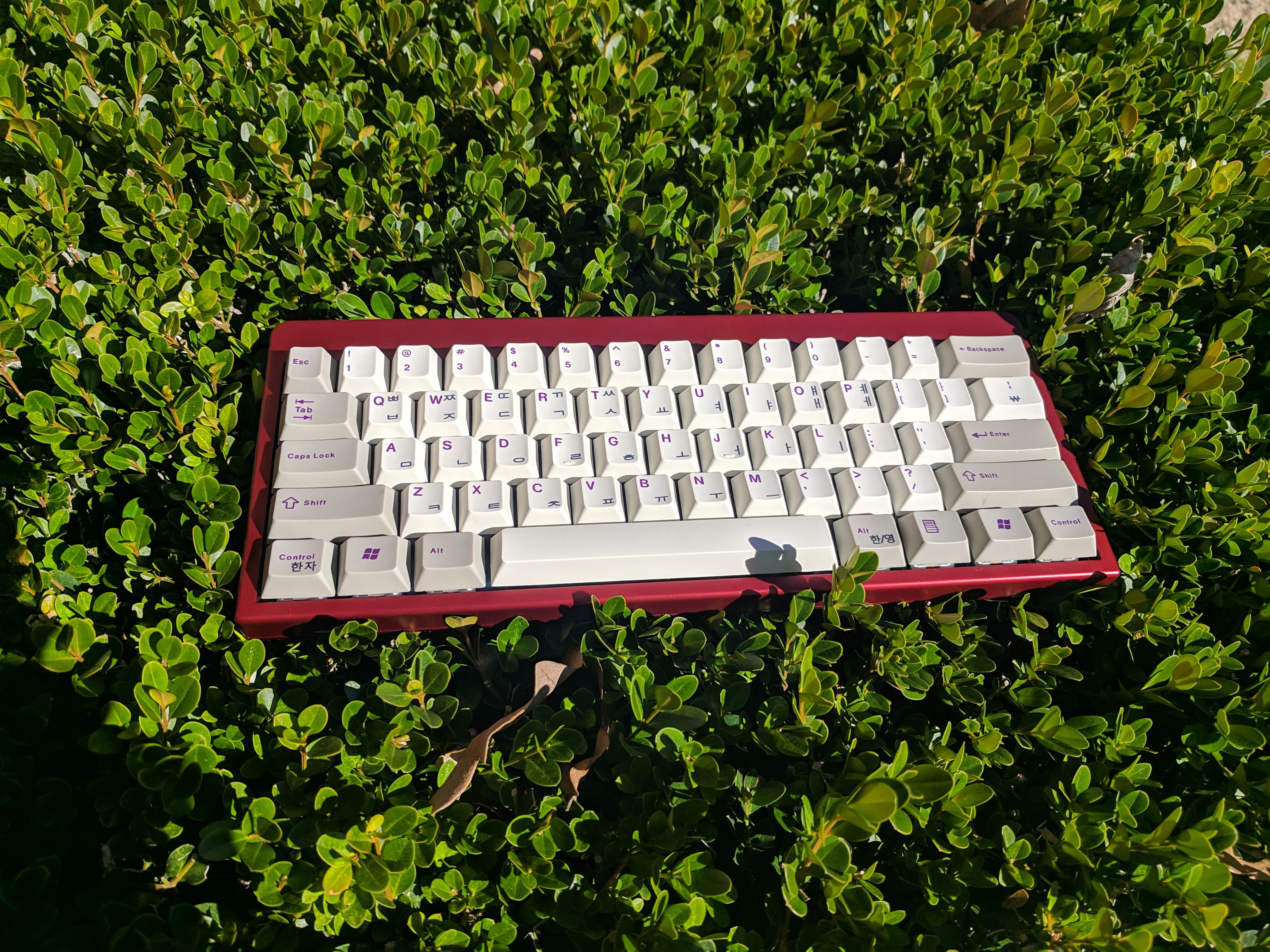 Aquaria V1 60% Jellyfish Keyboard GB (Sorting Shipping ) image 2