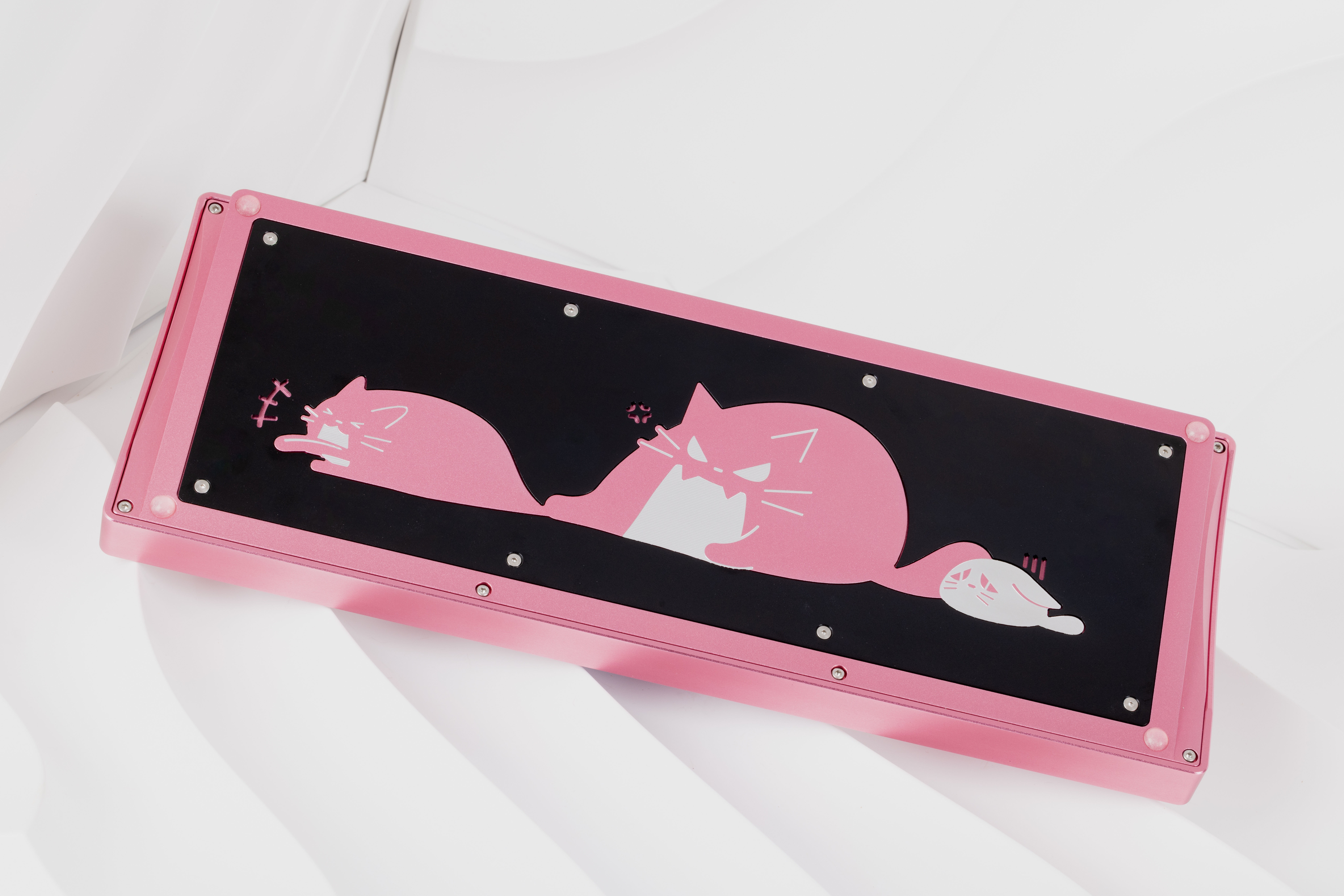 CatX( - F13 TKL with a kitty twist image 7