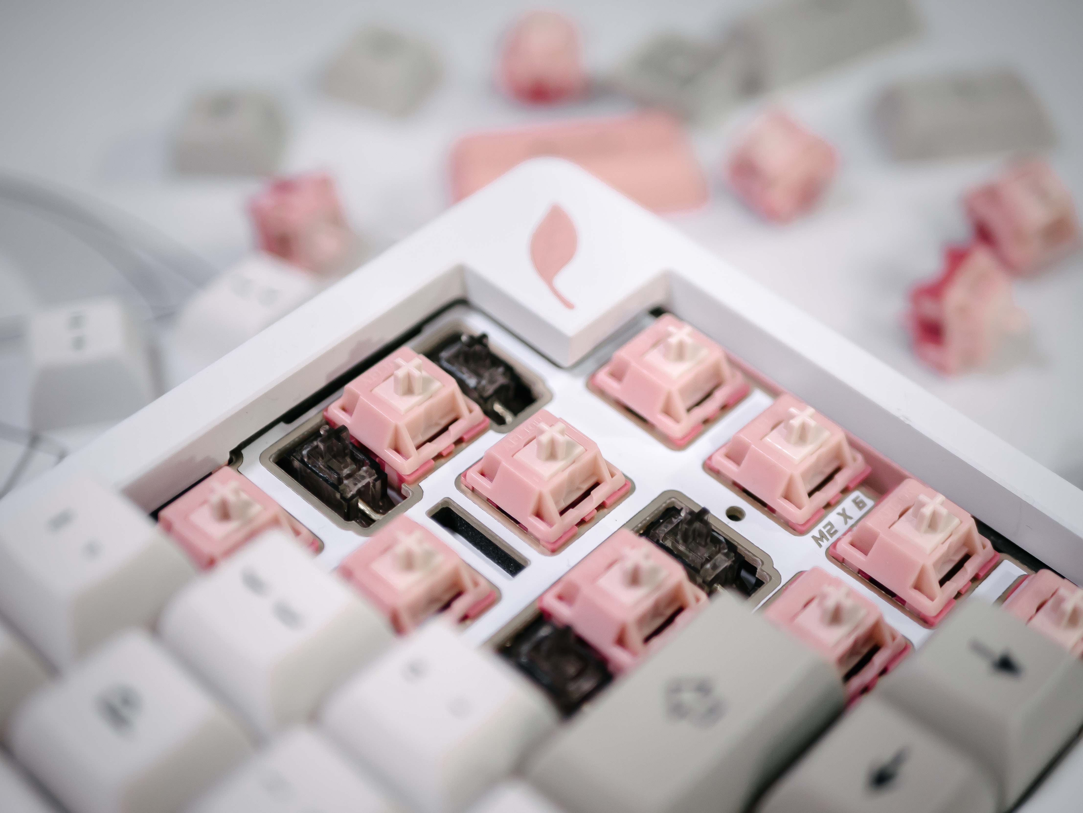 Blush Linear Switch | Shipping to vendors image 4