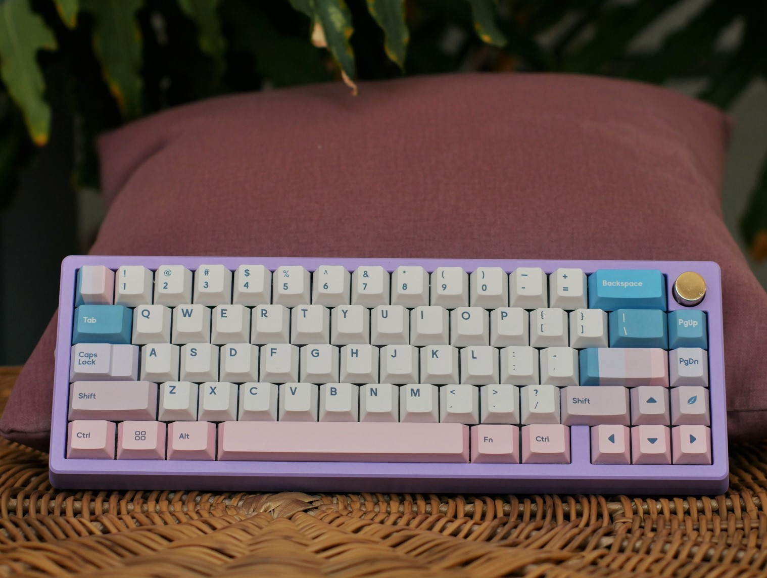 ICK La Vie En Rose