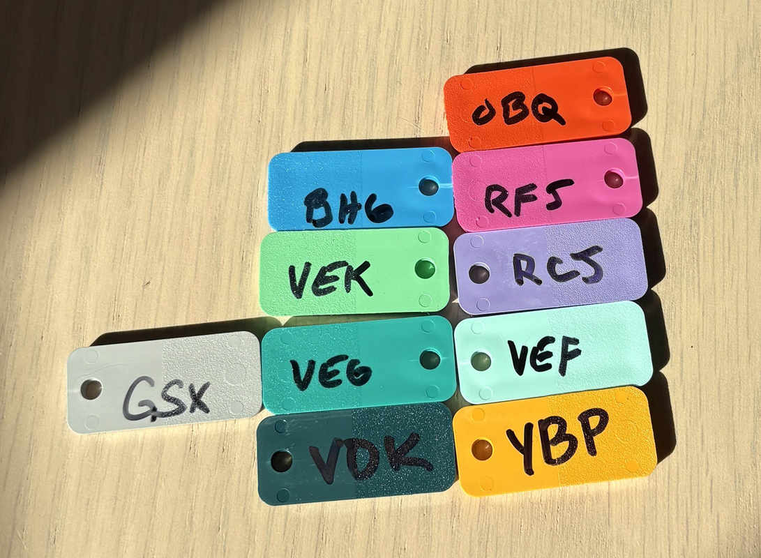 SP Colors