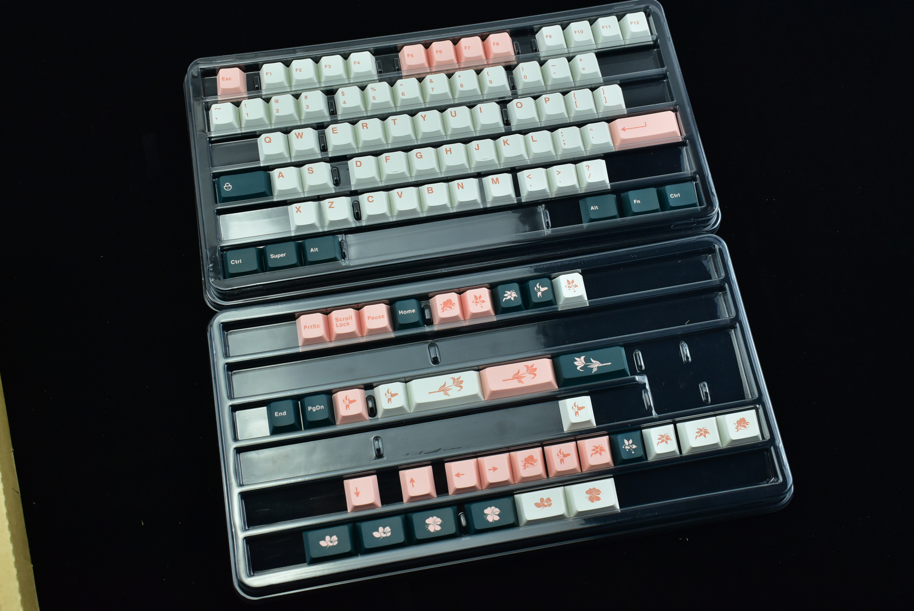 [Pre-order] ePBT Flower | Last Week image 33