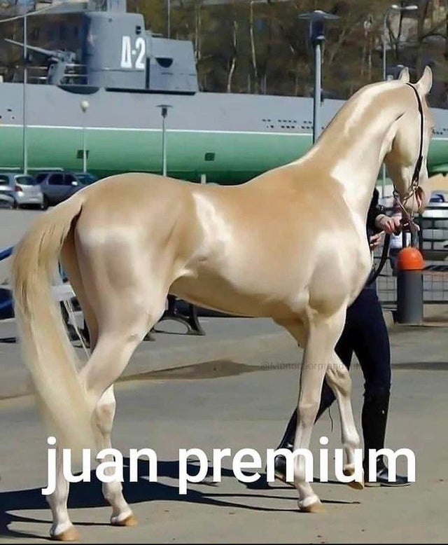 Horsey | Mar. 13 — Final prototype image 25