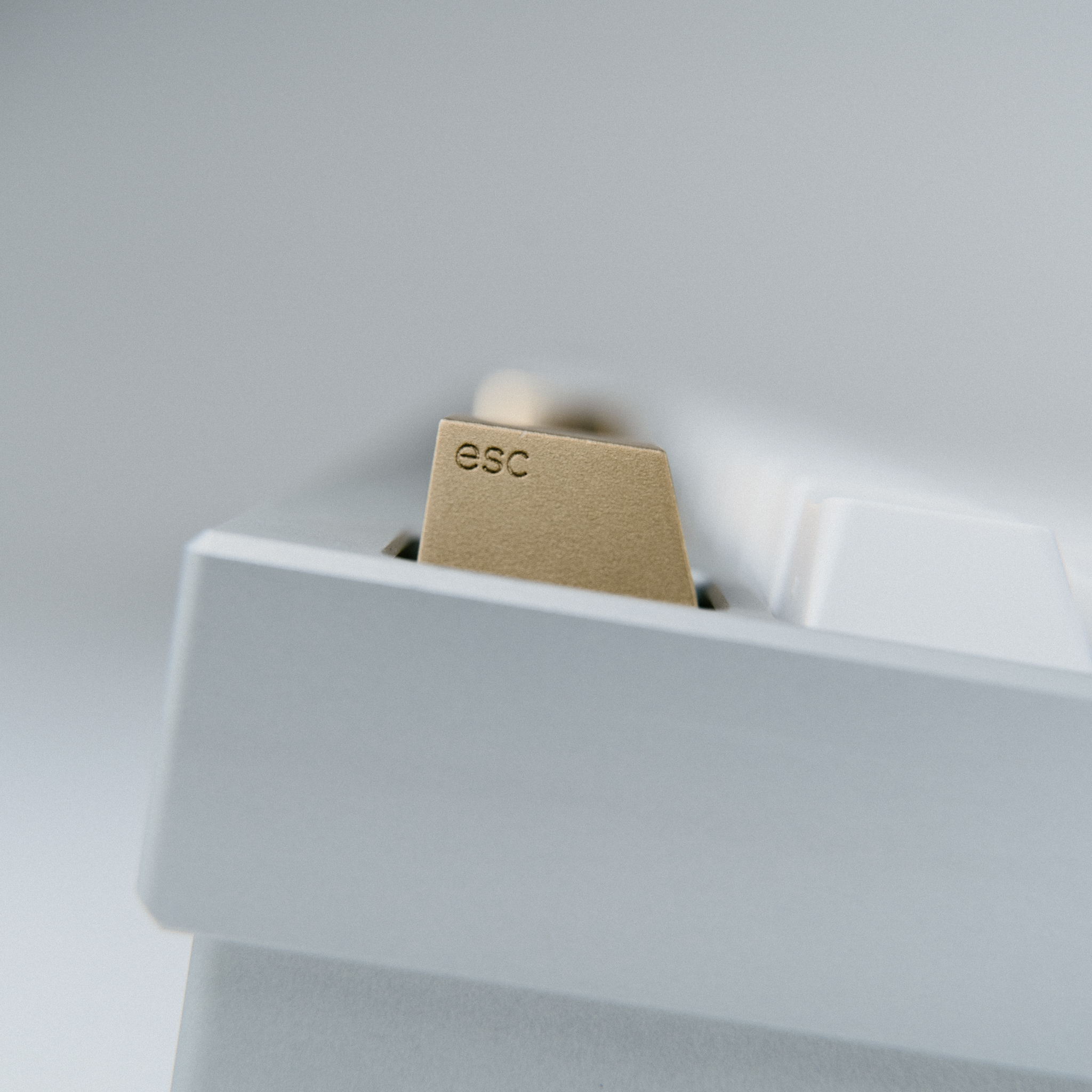 Series 00 | 09/17/2021: Shipping to all 4 vendors! image 11