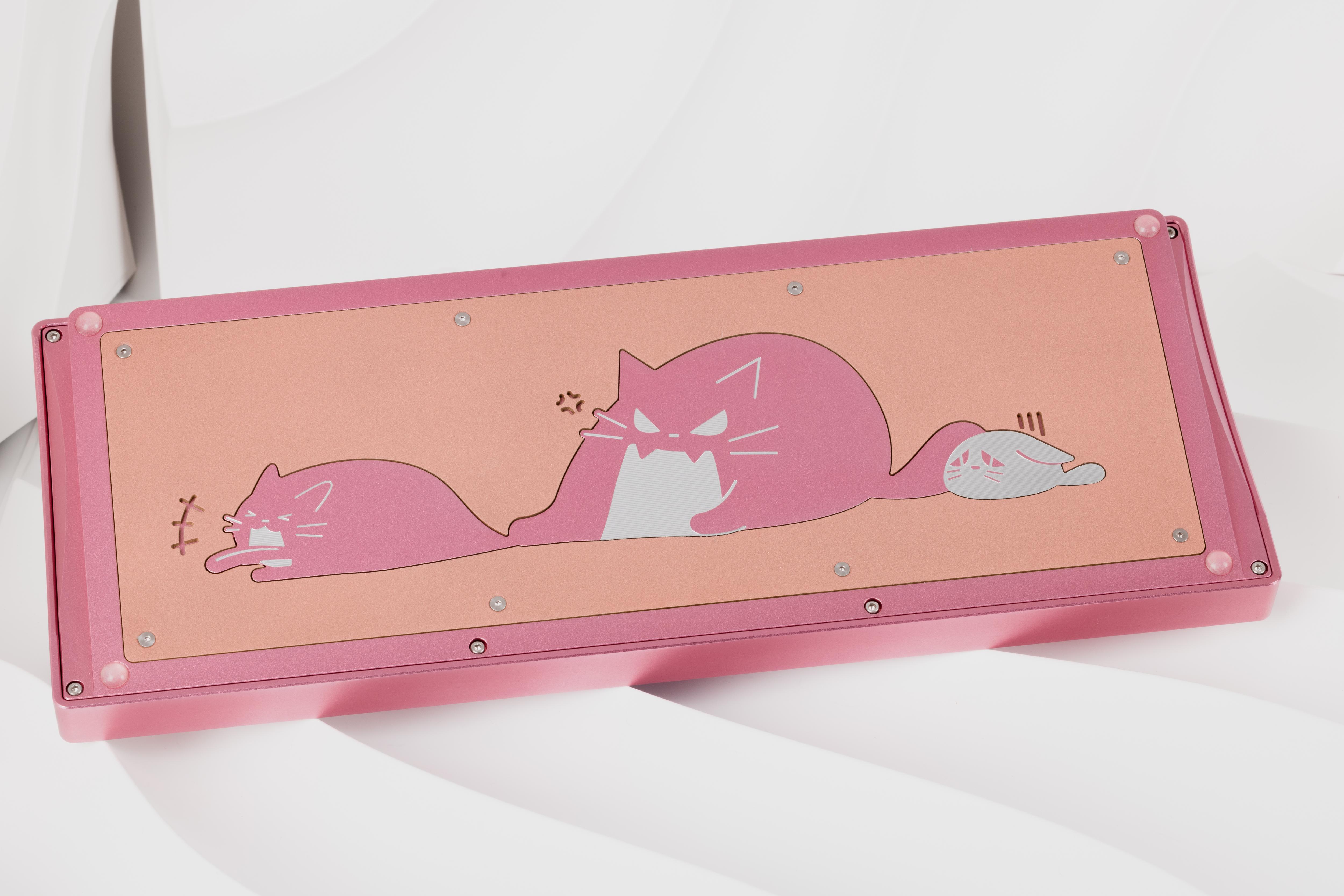 CatX( - F13 TKL with a kitty twist image 8