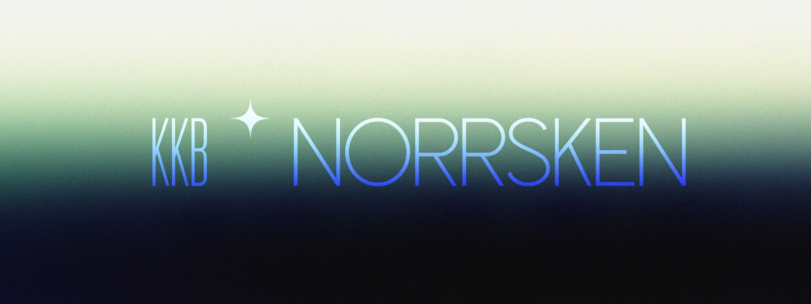 Norrsken image 19
