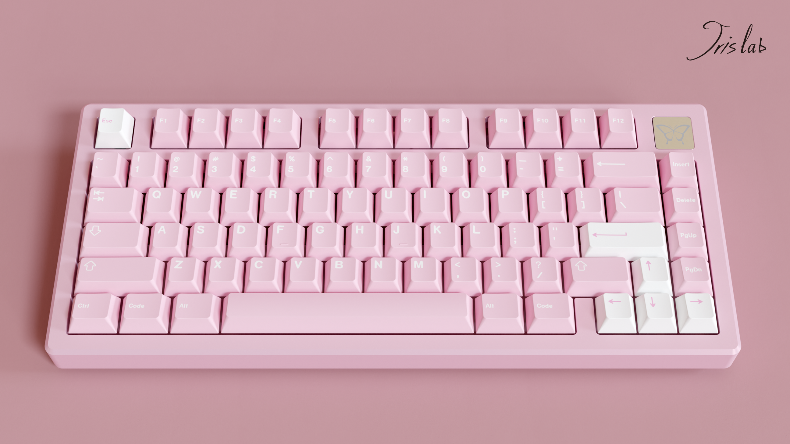 JRIS75-Quick Disassembly&Adjustable Gasket Mount Keyboard GB is live Now image 13