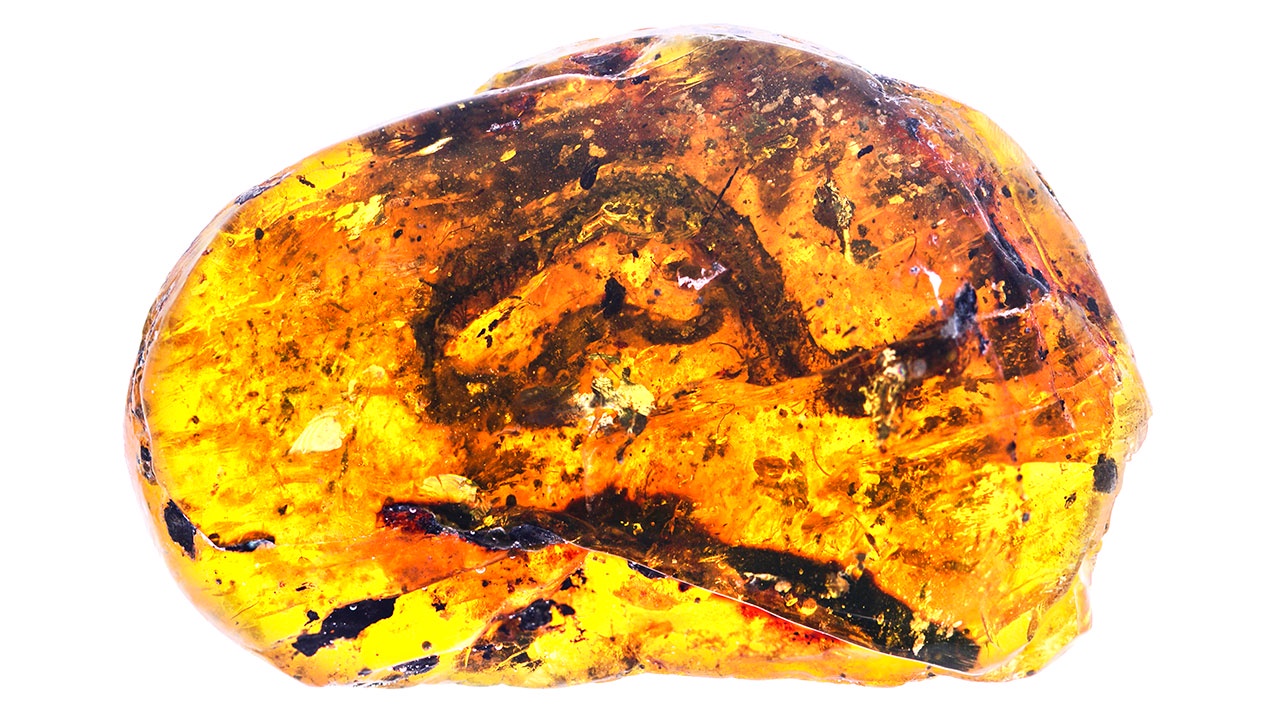 Snake60 - Fossil Edition - Raffle is live image 2
