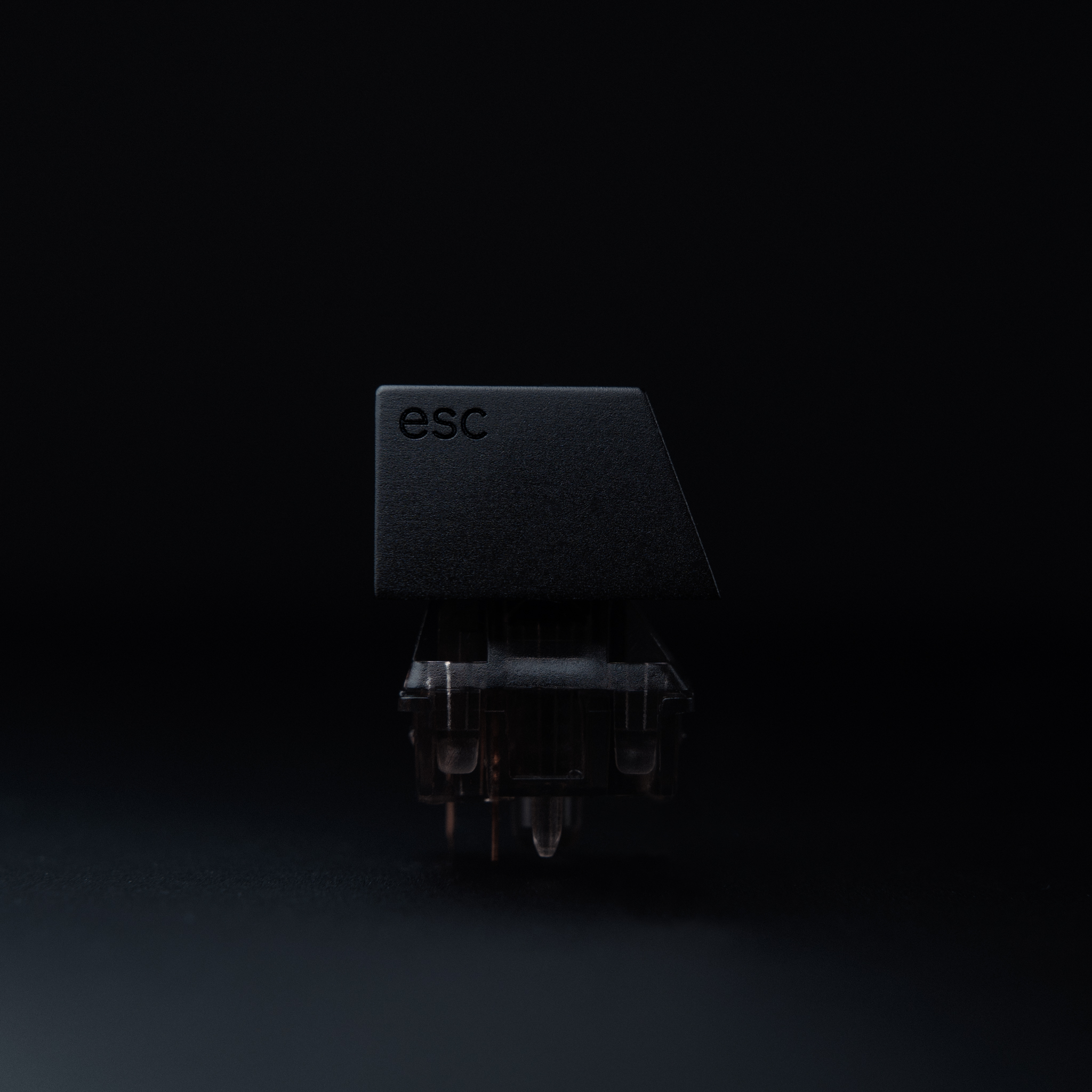 Series 00 | 09/17/2021: Shipping to all 4 vendors! image 22