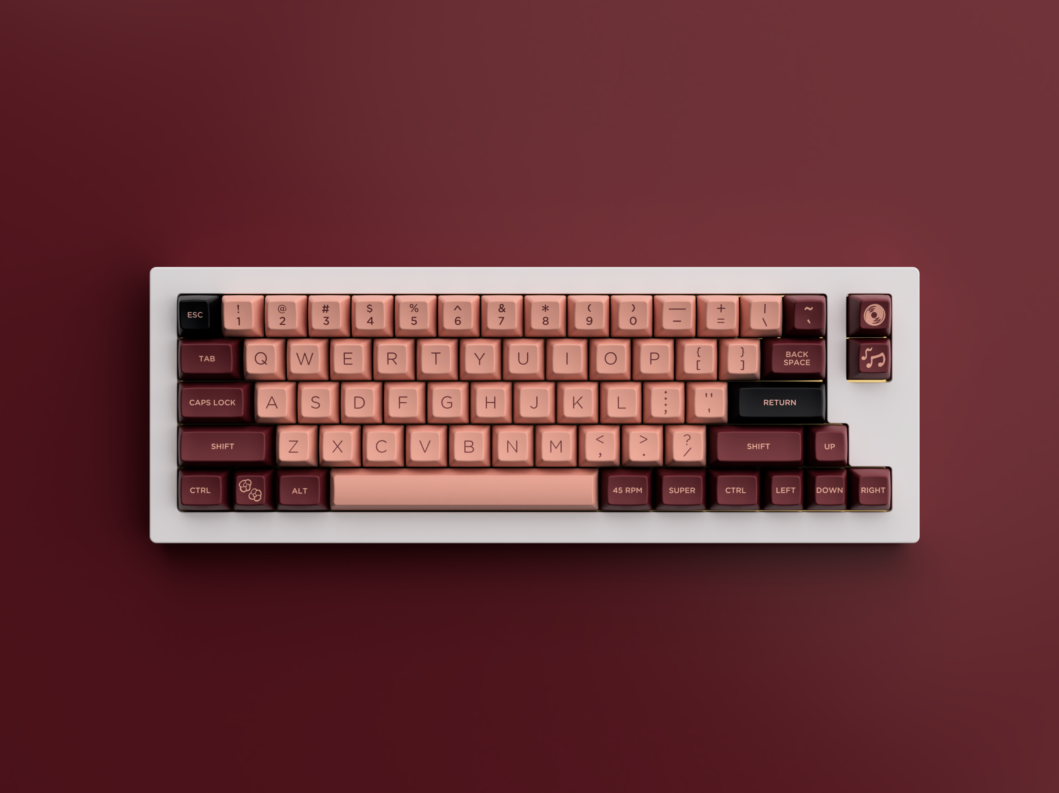 SP SA Sunday Morning - [CLOSED]