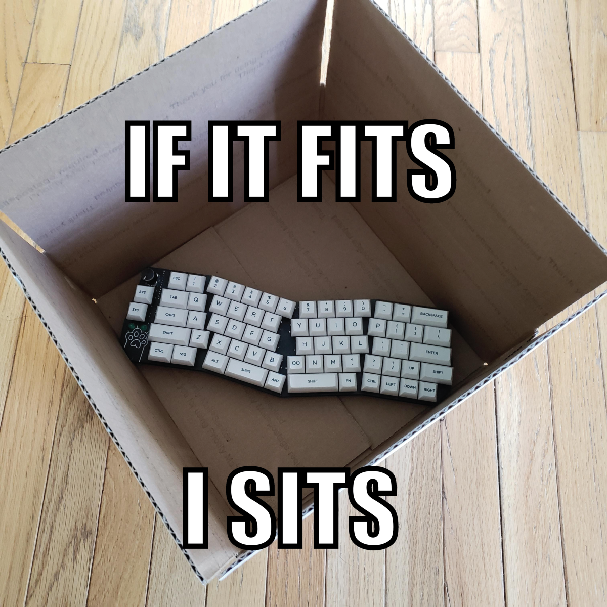 Orange Boy Ergo - Budget Alice-like DIY Kit