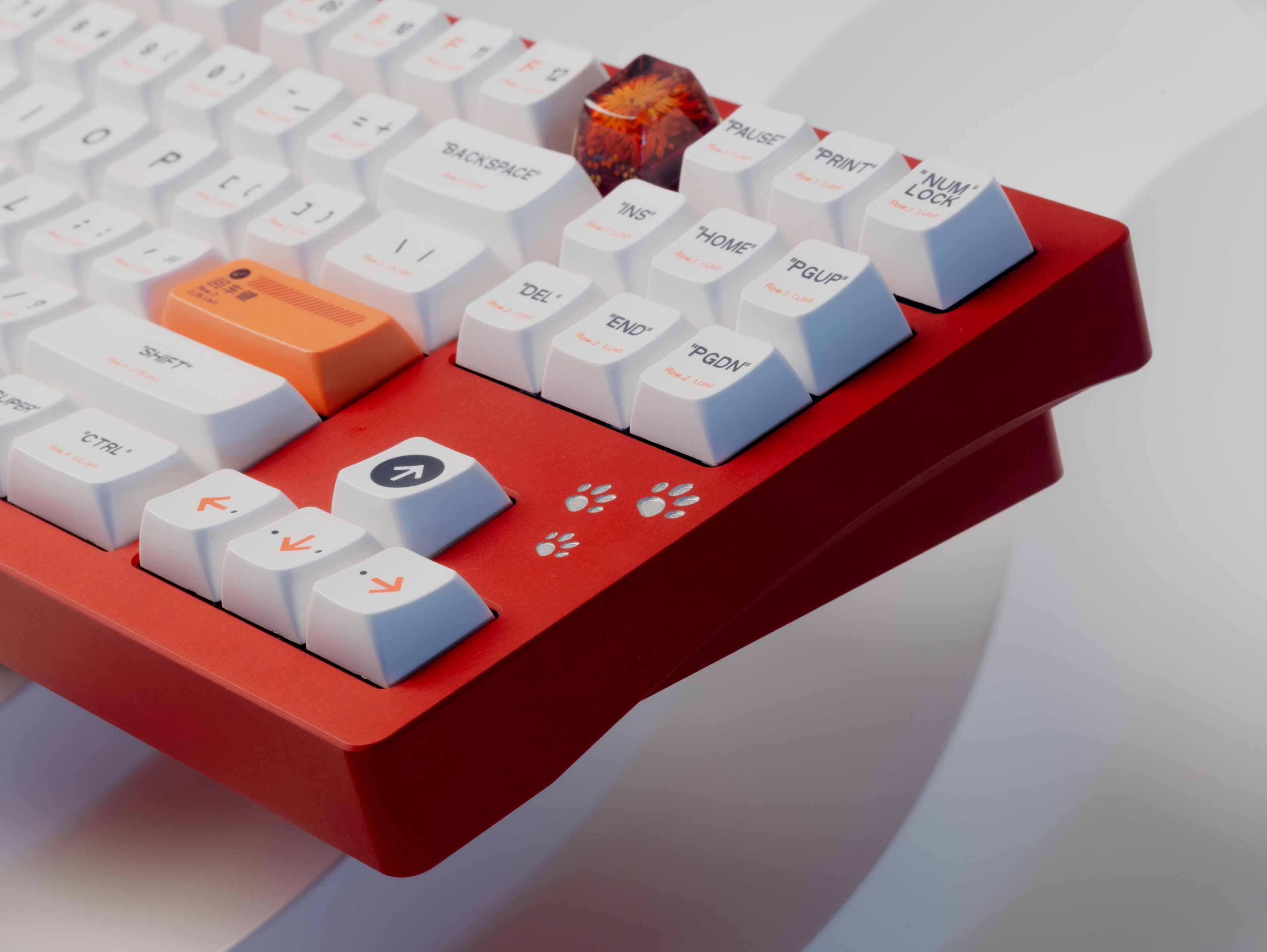 CatX( - F13 TKL with a kitty twist image 12