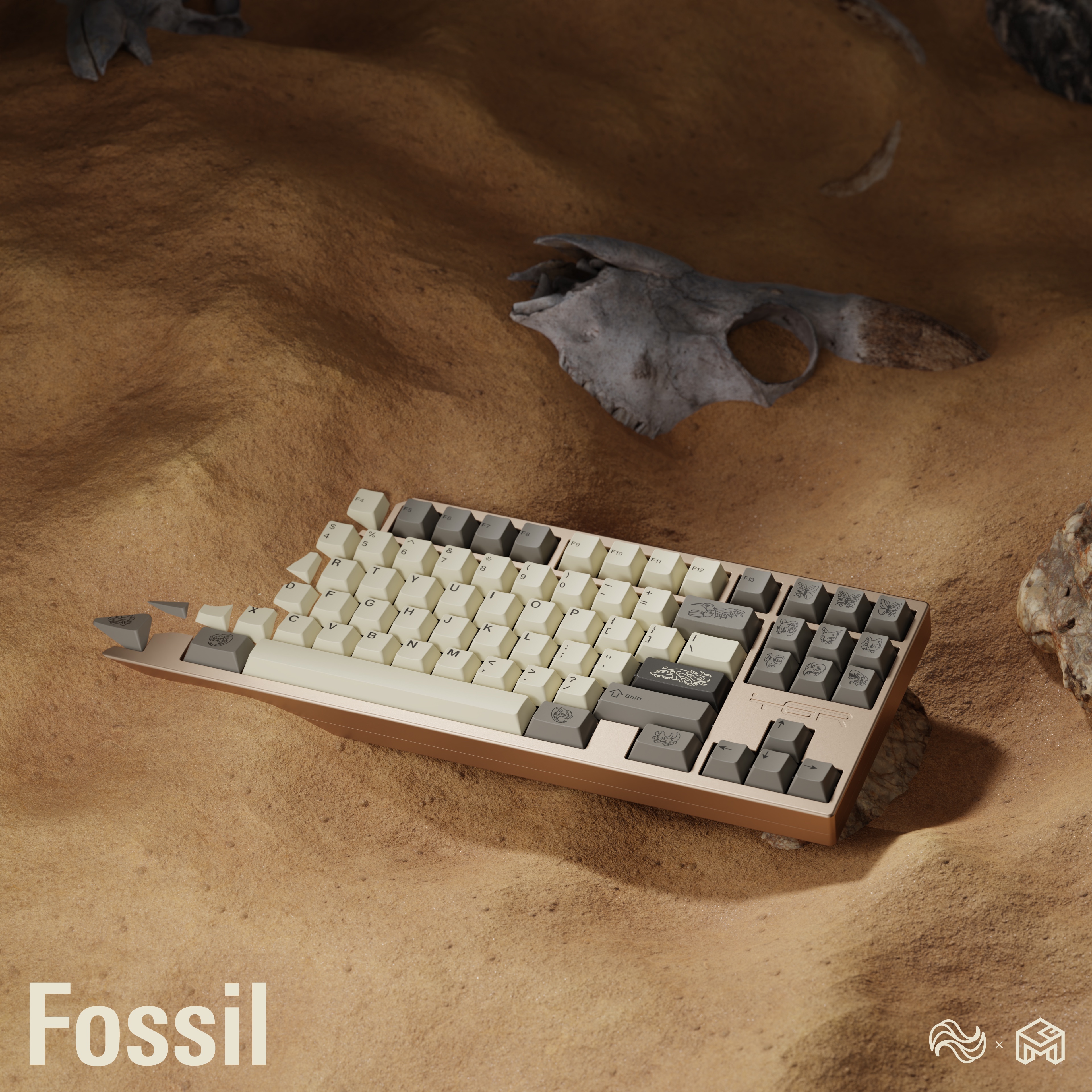 GoMaster-Fossil | Imprint of Time