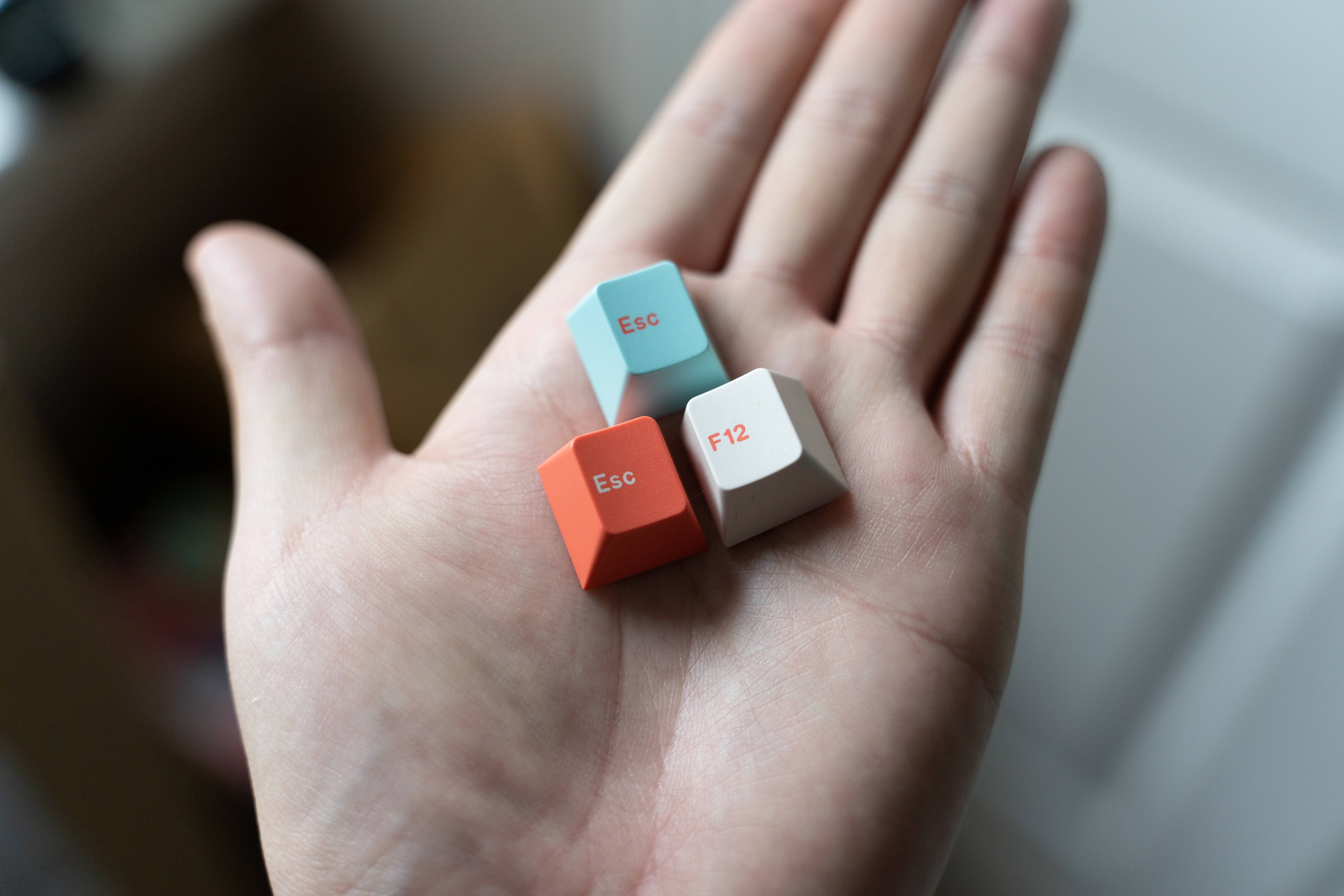 GMK Coral R2 - benefiting the Coral Reef Alliance (GB: 6/22 - 7/15) image 6