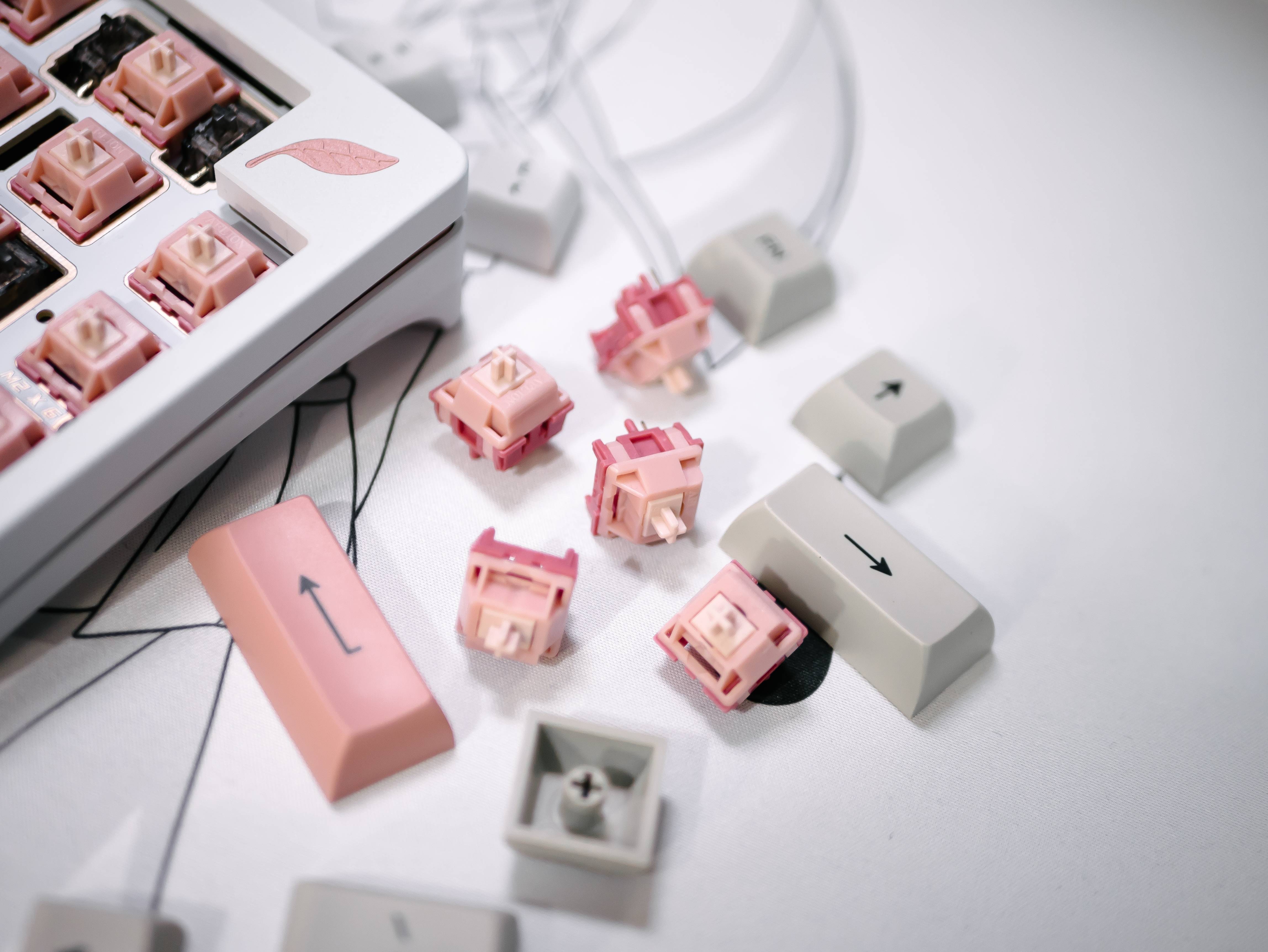 Blush Linear Switch | Shipping to vendors image 3