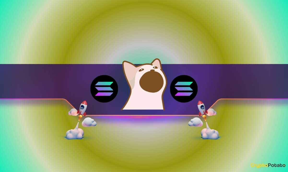 Popcat_CB