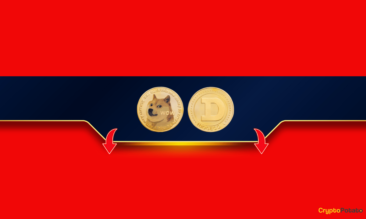 doge_red_cb