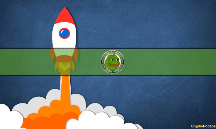 Pepe_Rocket