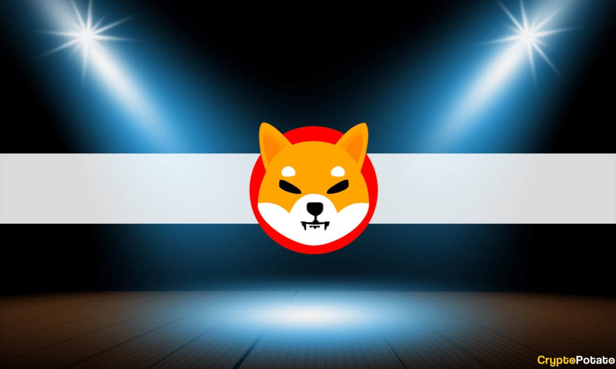 ShibaInuSpotlight