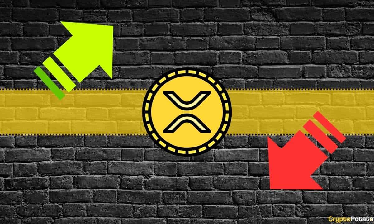 xrp_price_updown_cb