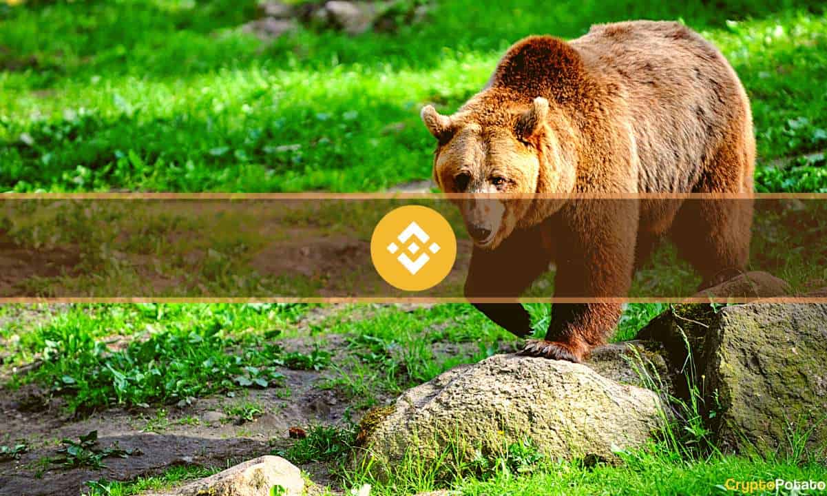 bnb_bear_cover