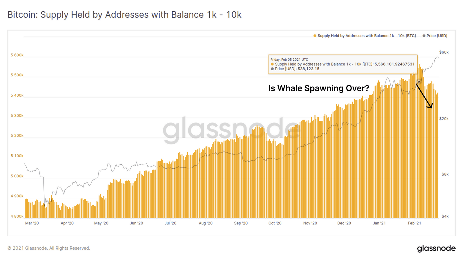 Bitcoin Whales Behavior 2020-2021. Source: Glassnode