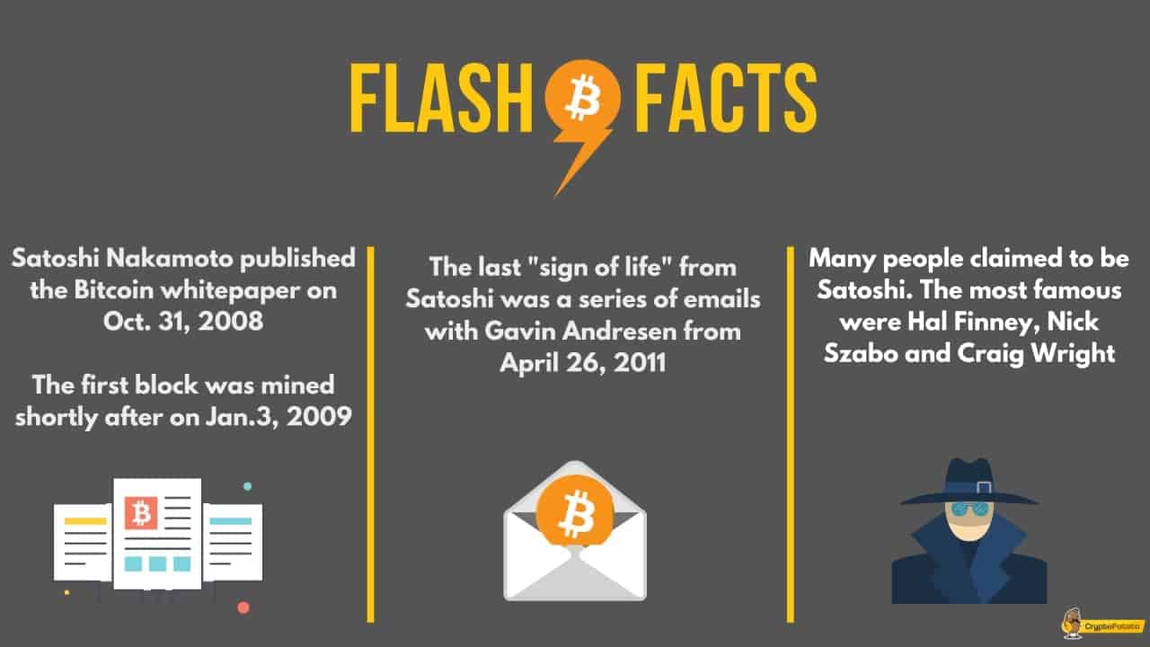 satoshi_infographic