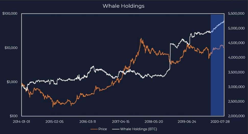 Bitcoin Whales HODLing. Source: DigitalDelphi