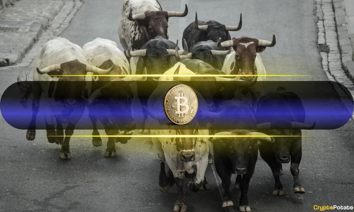 bitcoin_bulls_cover