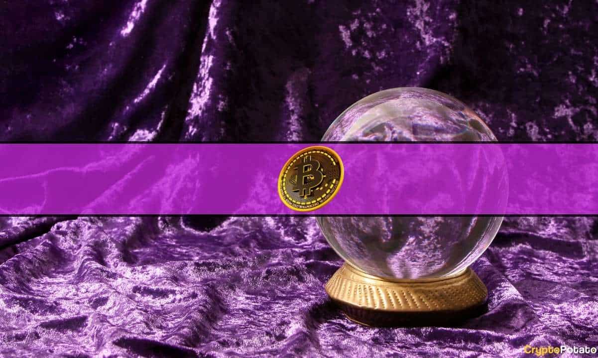 btc_prediction_cover