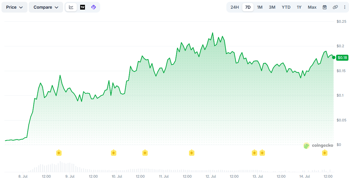 CASHCAT Price